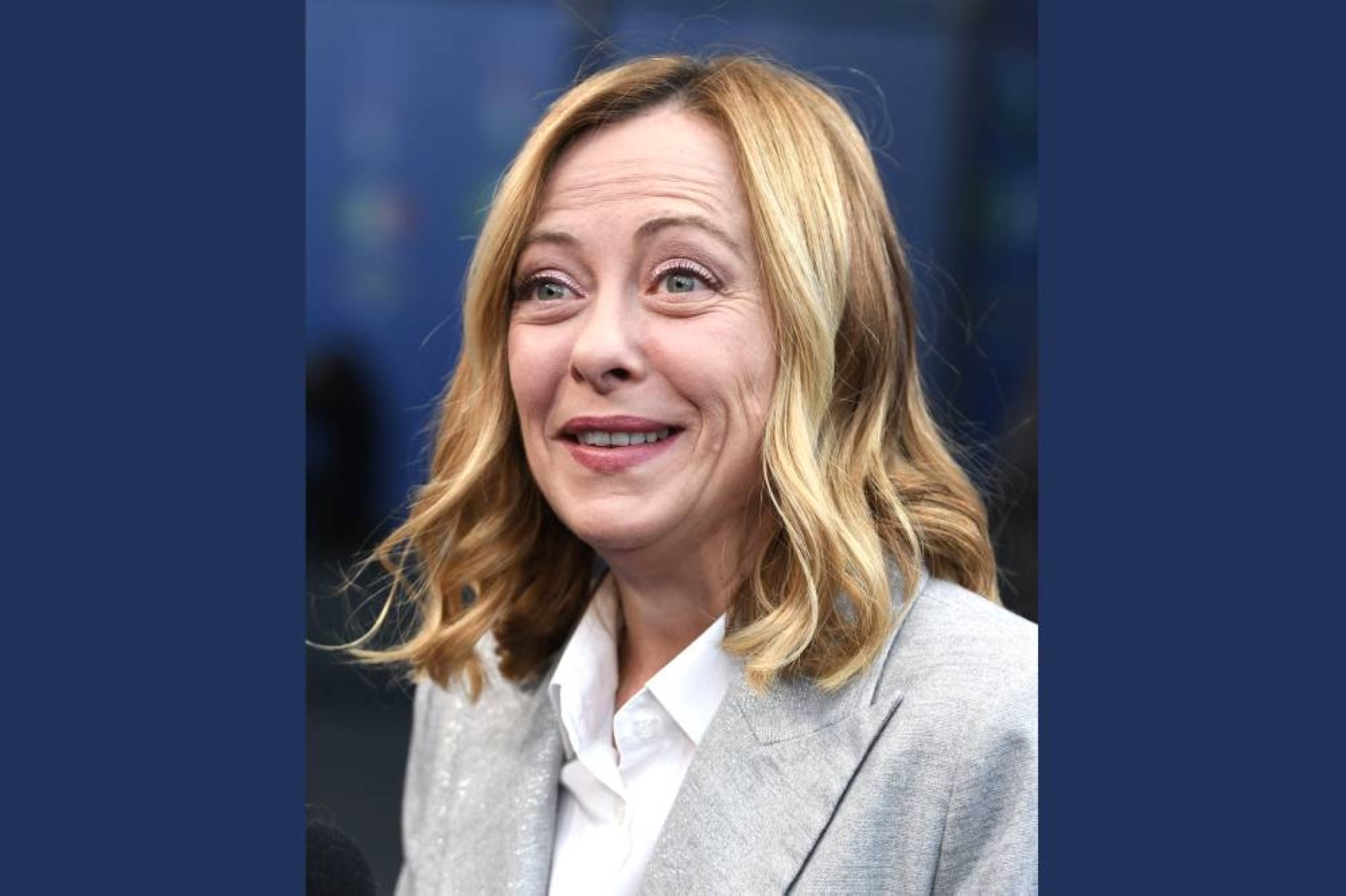 'Do you step on ants?' Surprise question at press meet baffles Italian PM Giorgia Meloni