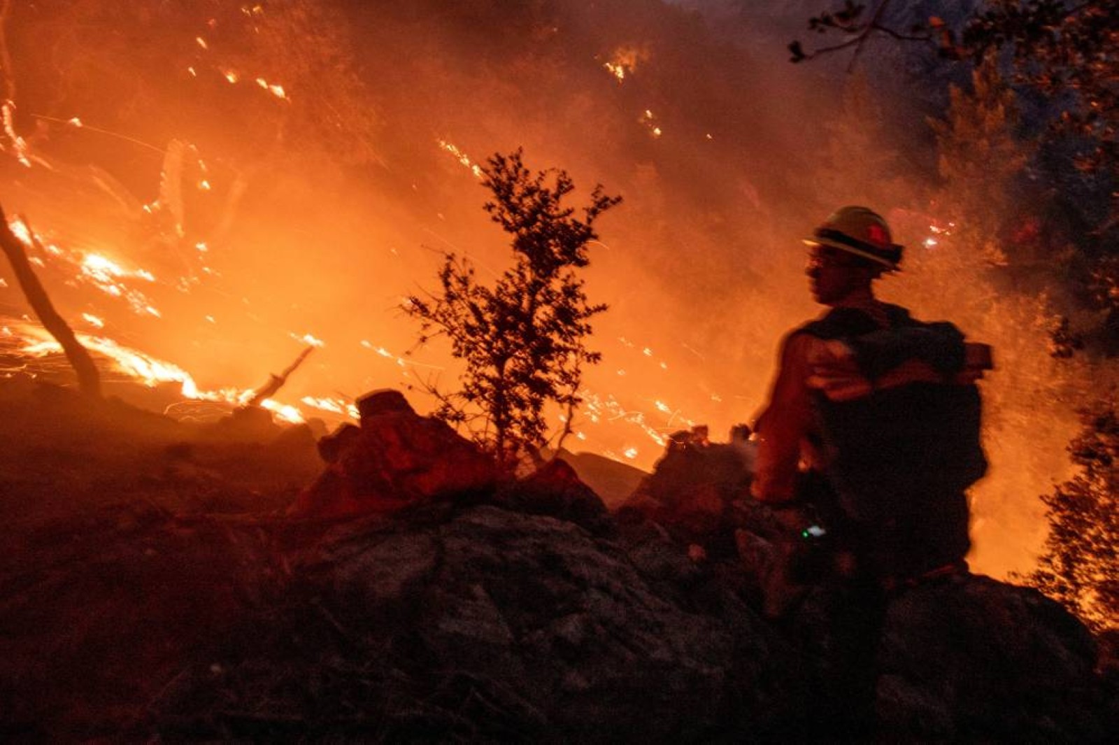 Forest fires char homes of rich and ordinary