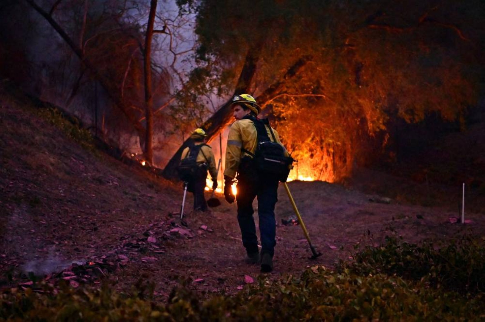 Firefighters race to beat Los Angeles blazes as winds grow; toll hits 16