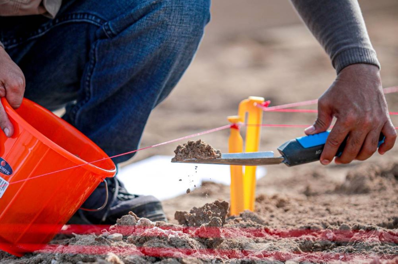 EAD issues new soil quality regulation
