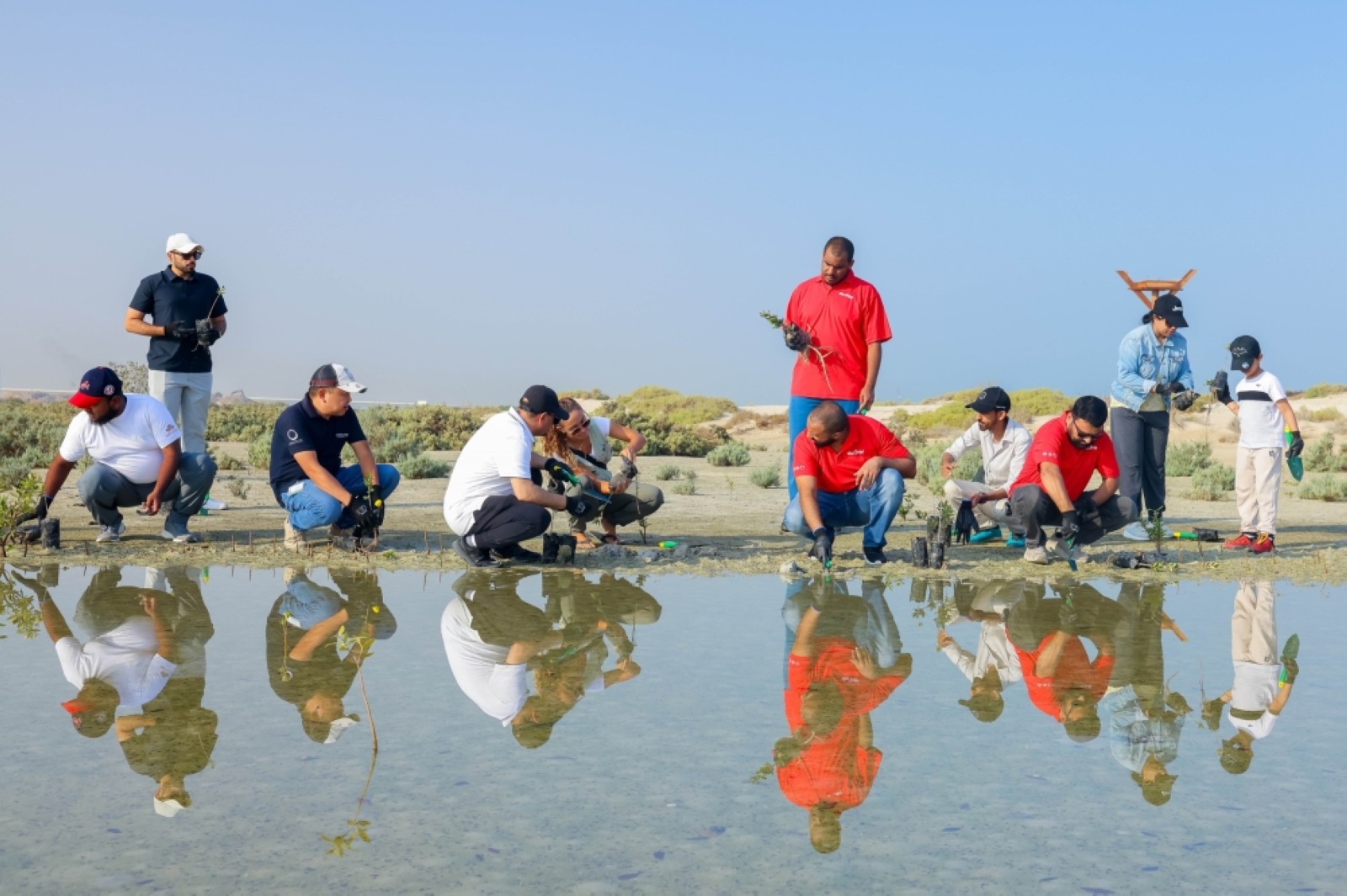 6,850 mangrove trees planted in Jebel Ali sanctuary