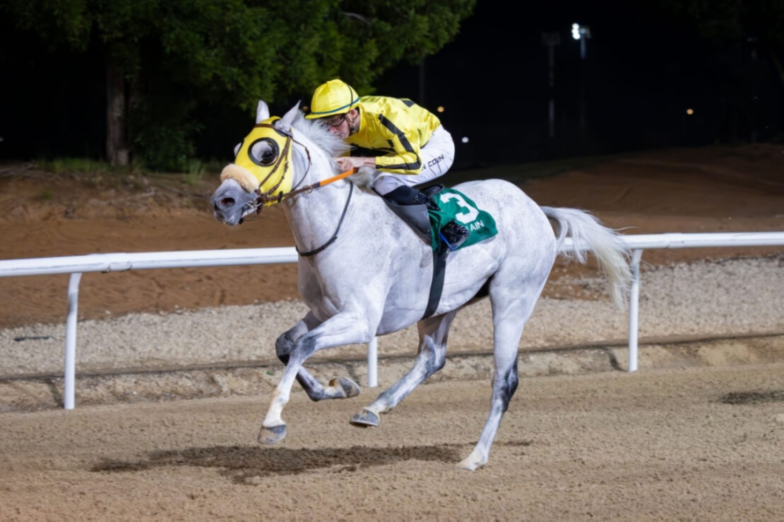 Coen guides Al Laith to victory in feature at Al Ain Racecourse