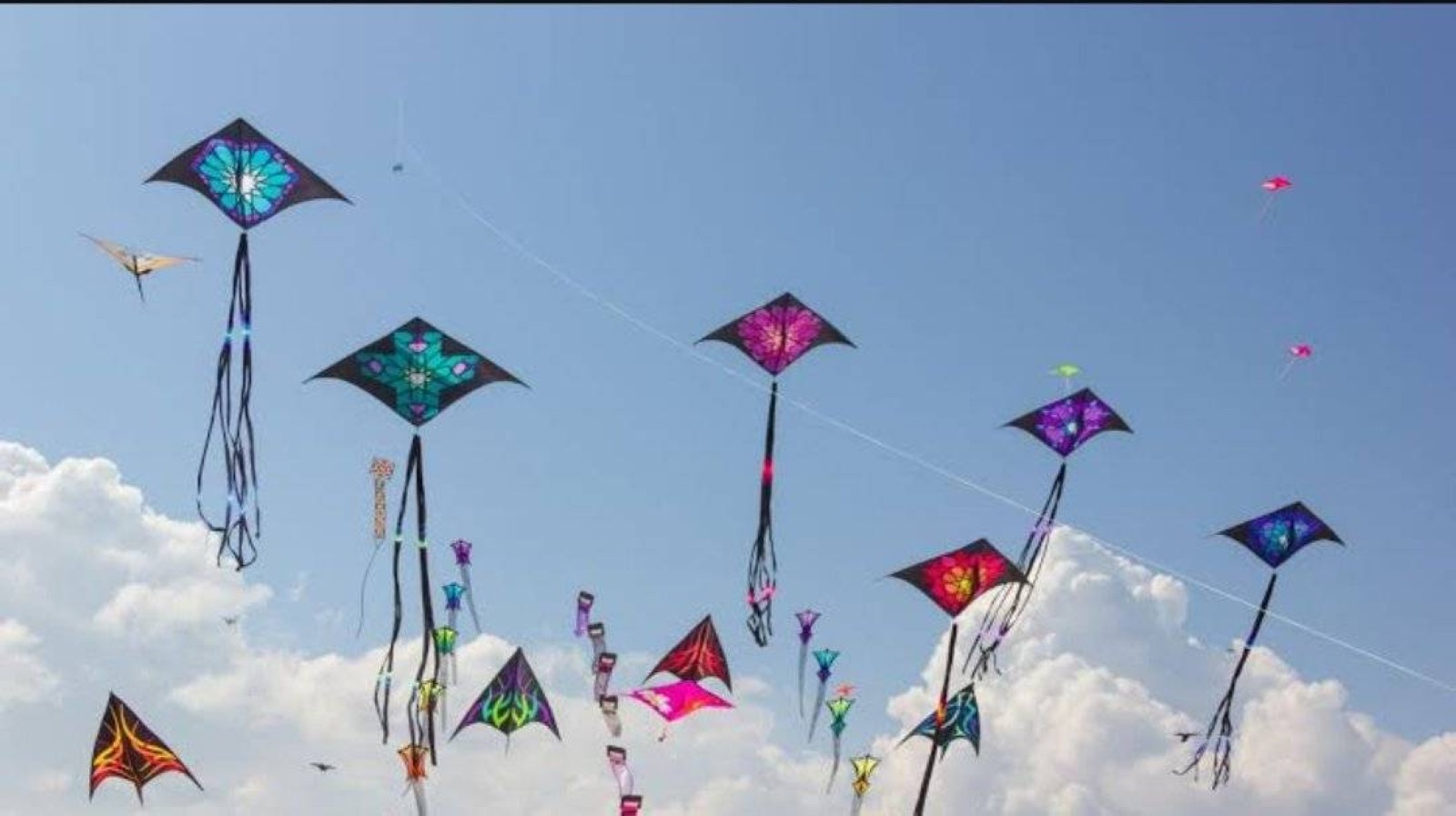Pakistan's Punjab province imposes total ban on kite fliers over safety concerns