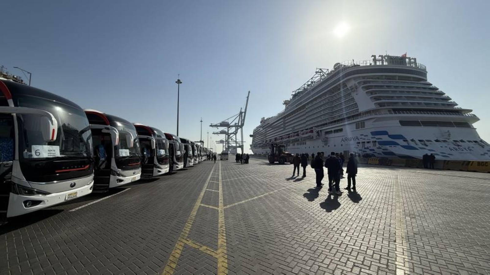 Dubai's port welcomes first passenger vessel of 2025