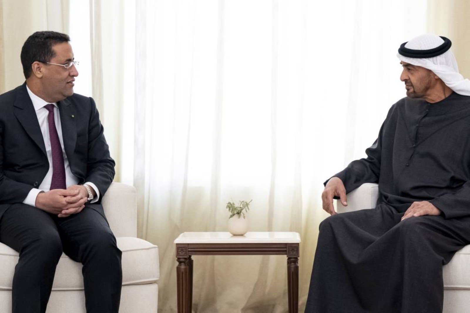 UAE President meets Mauritanian Prime Minister