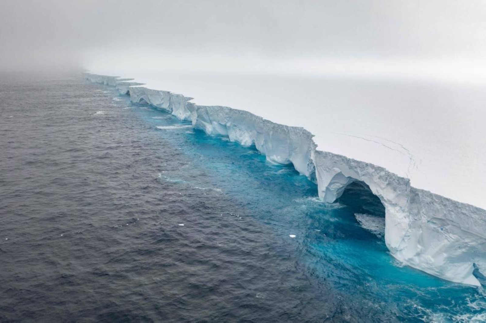World's biggest iceberg runs aground, sparing wildlife haven island