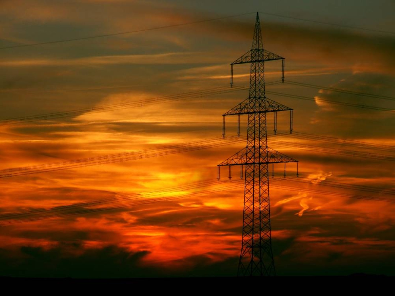Strength Through Diversification: BGN International’s vision for global energy markets
