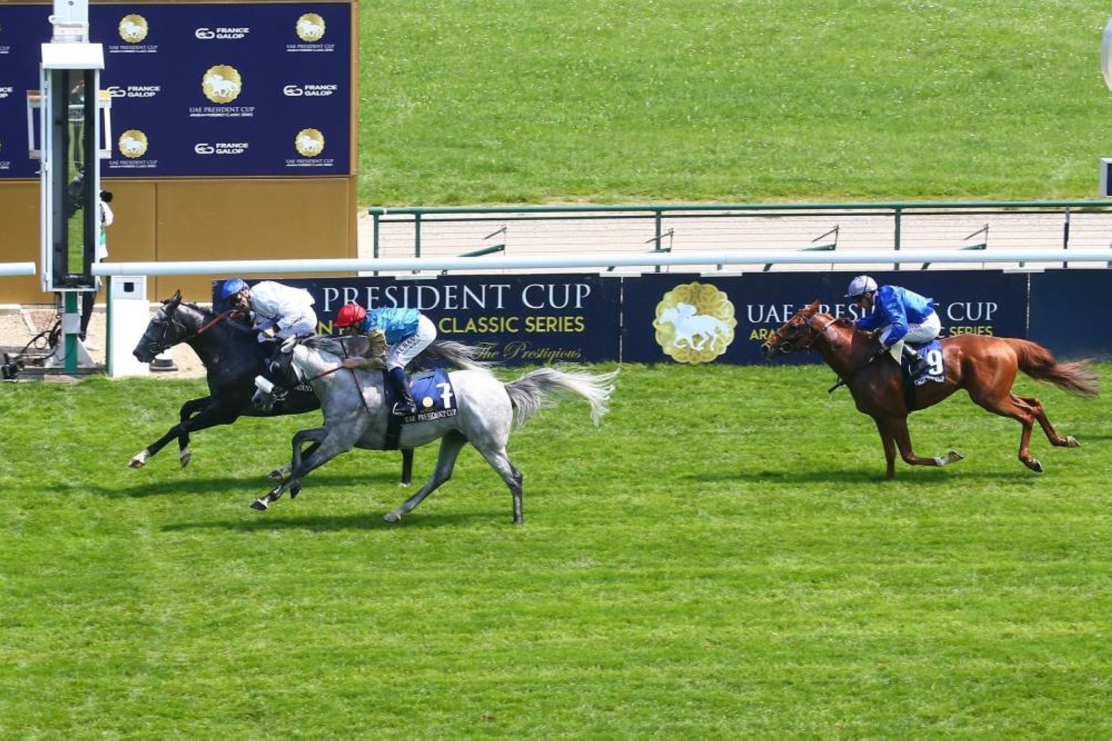 32nd edition of UAE President’s Cup Series for Purebred Arabian Horses to begin on April 20