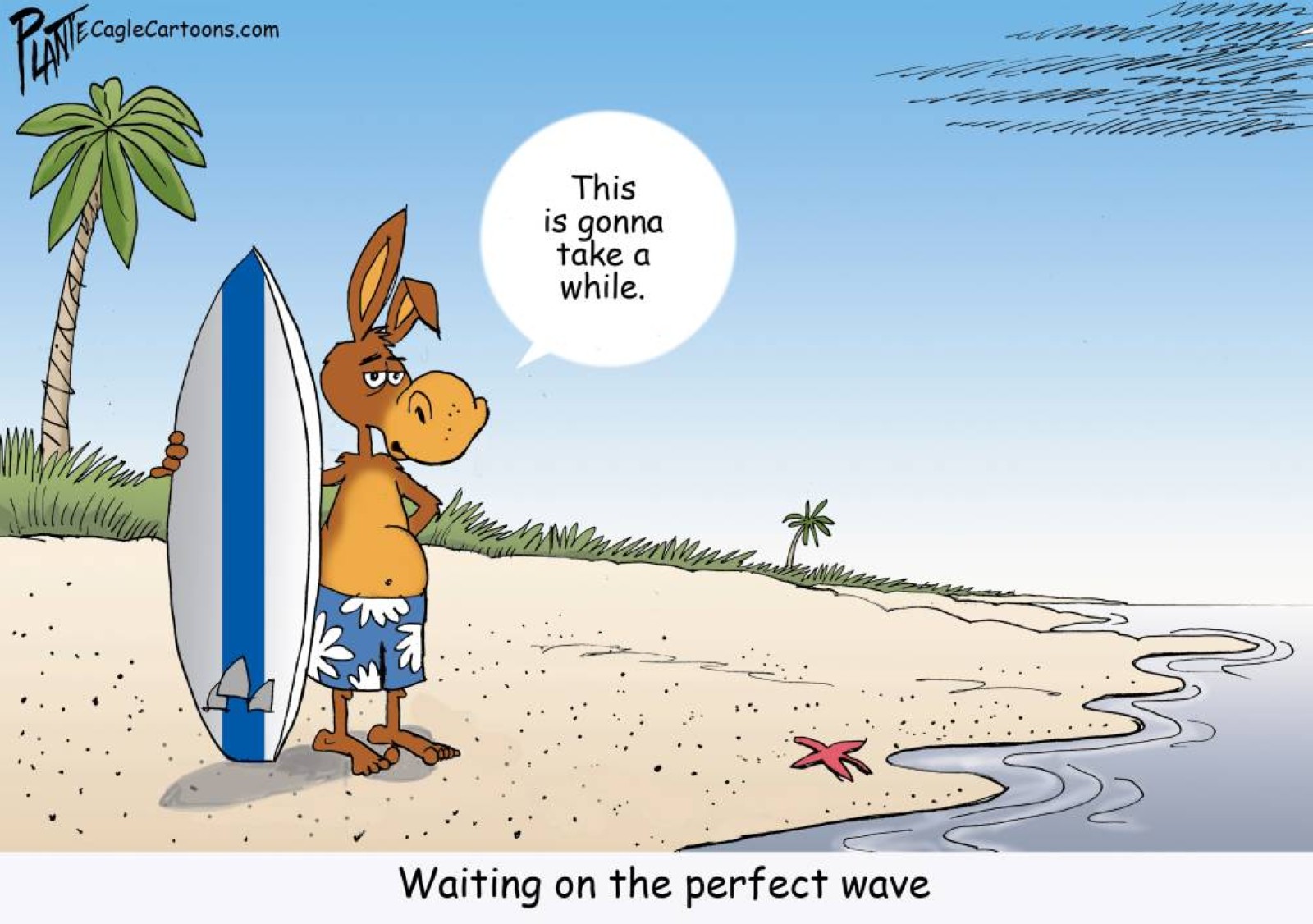 A democrat waits for a perfect wave