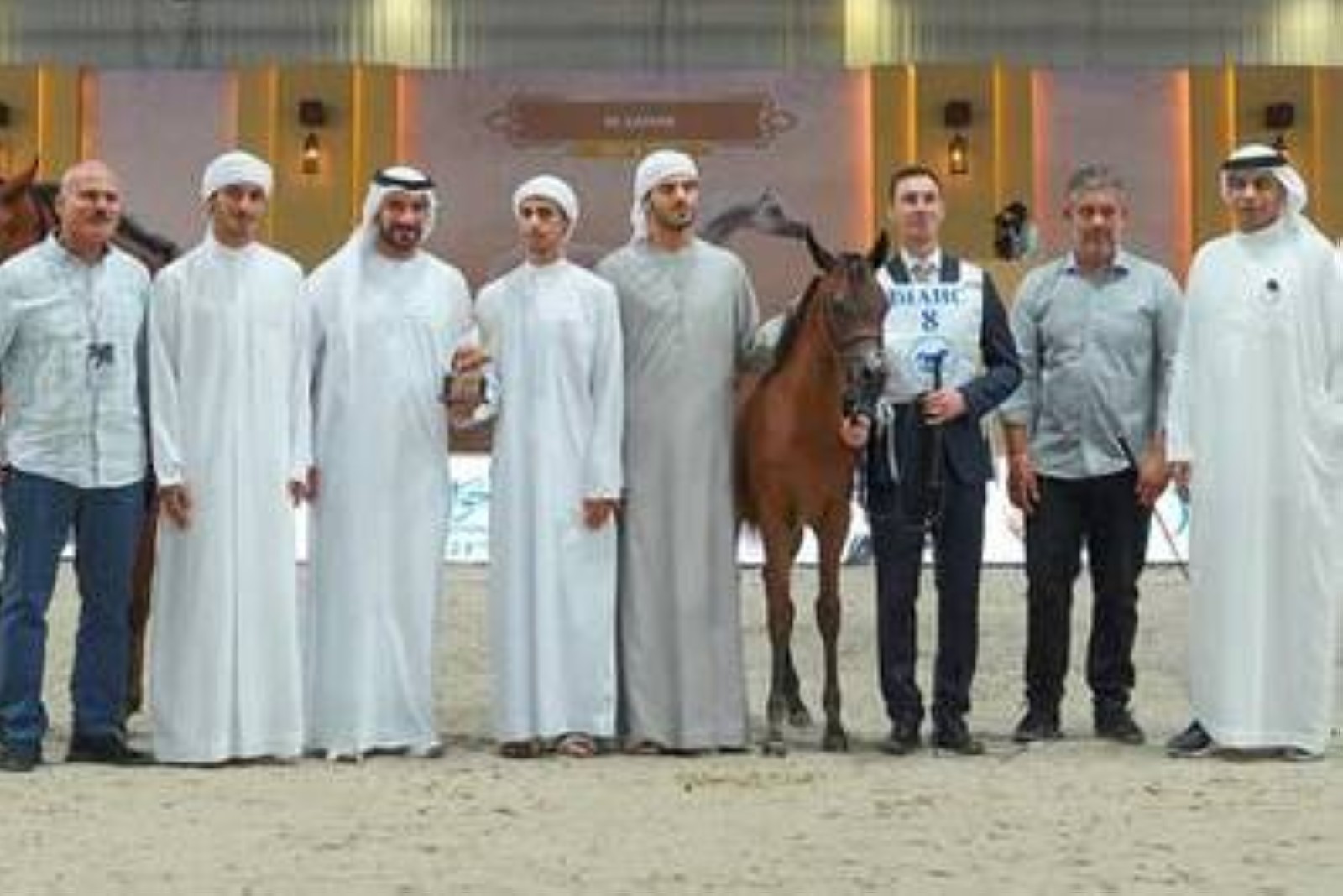 22nd edition of Dubai International Arabian Horse Championship off to perfect start
