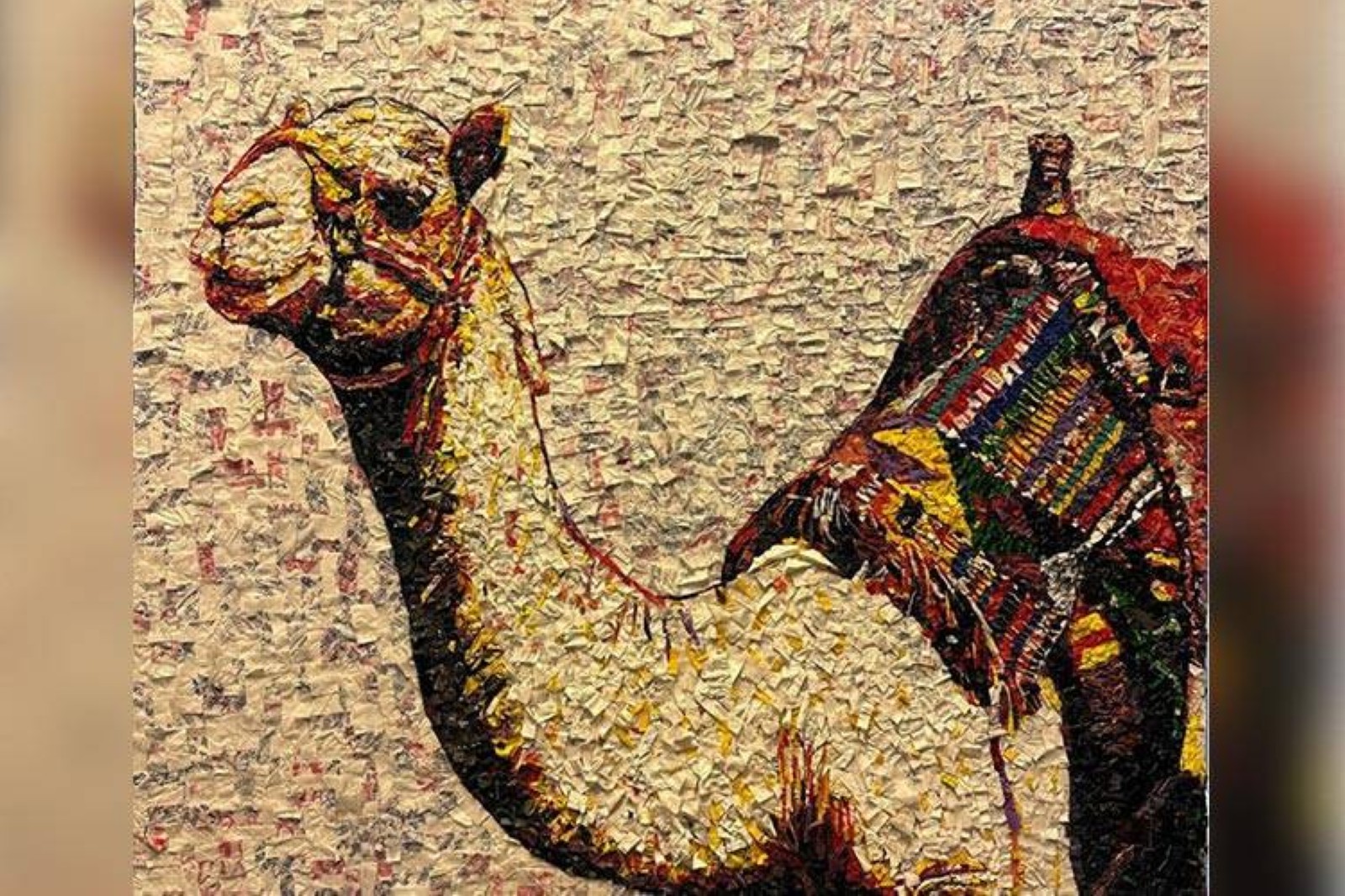 ‘Reflections’ show narrated personal journeys and universal experiences