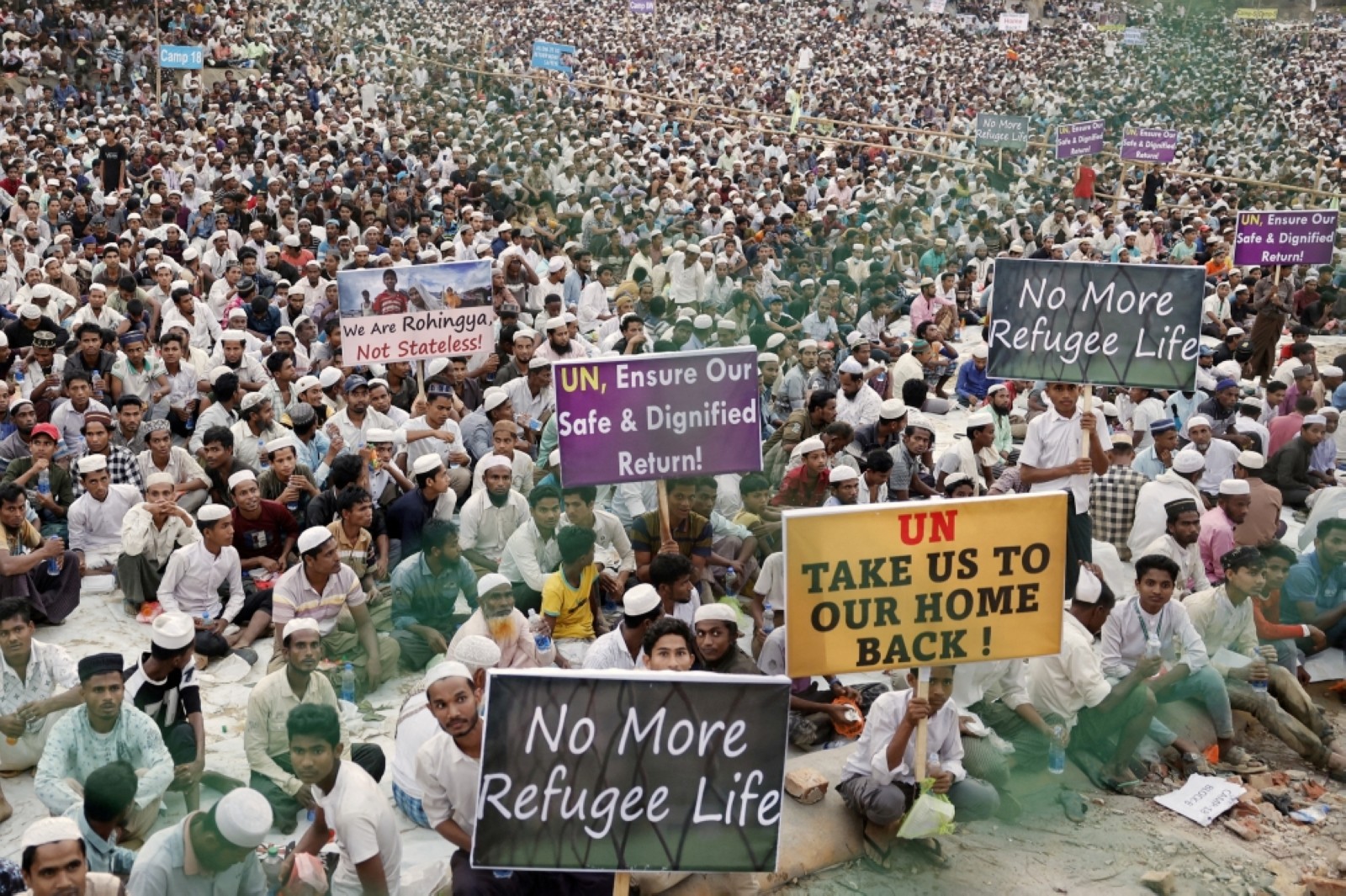 UN seeks nearly $1b in aid for Rohingya refugees