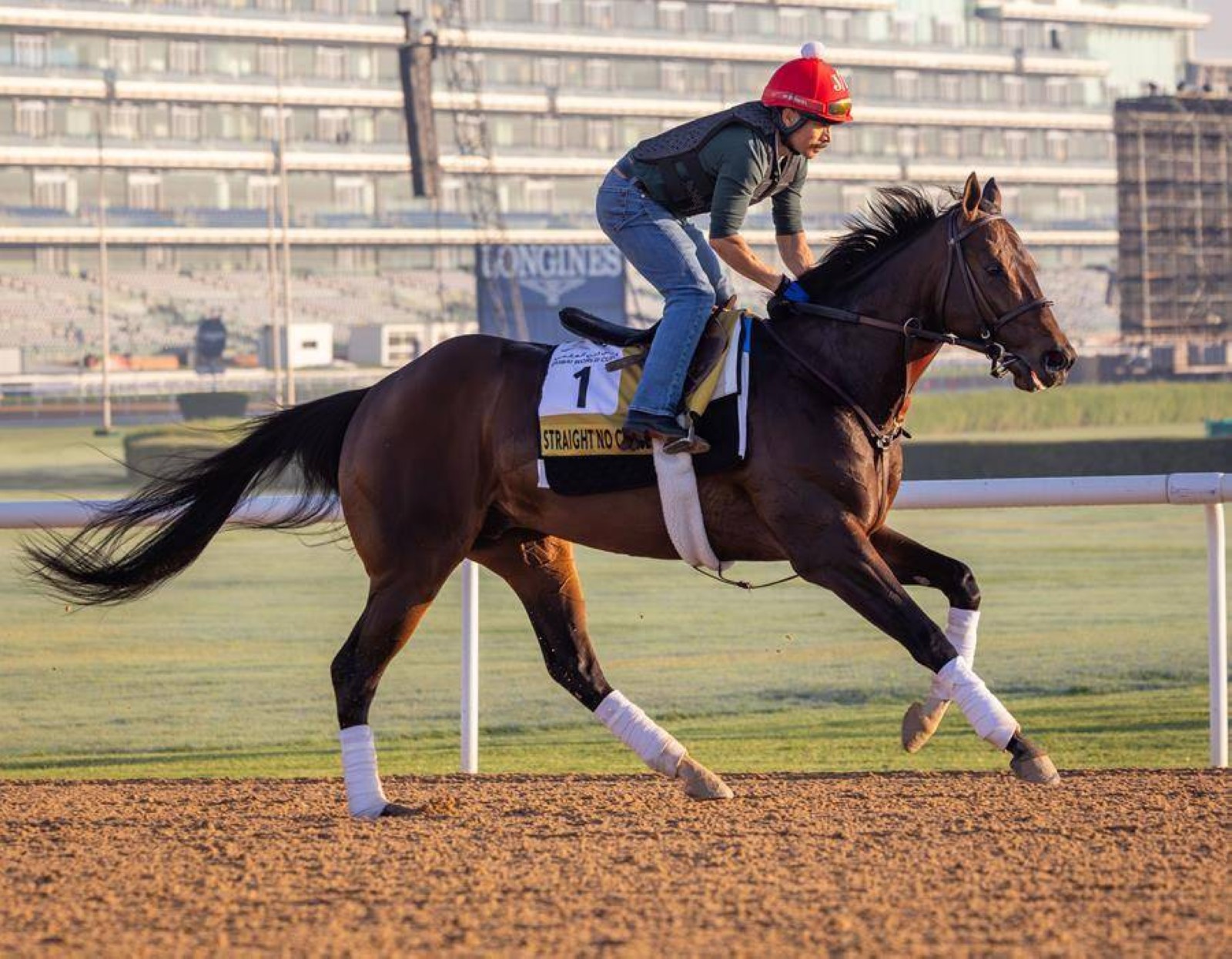 Straight No Chaser out to fulfill trainer Blacker's Dubai dream at World Cup