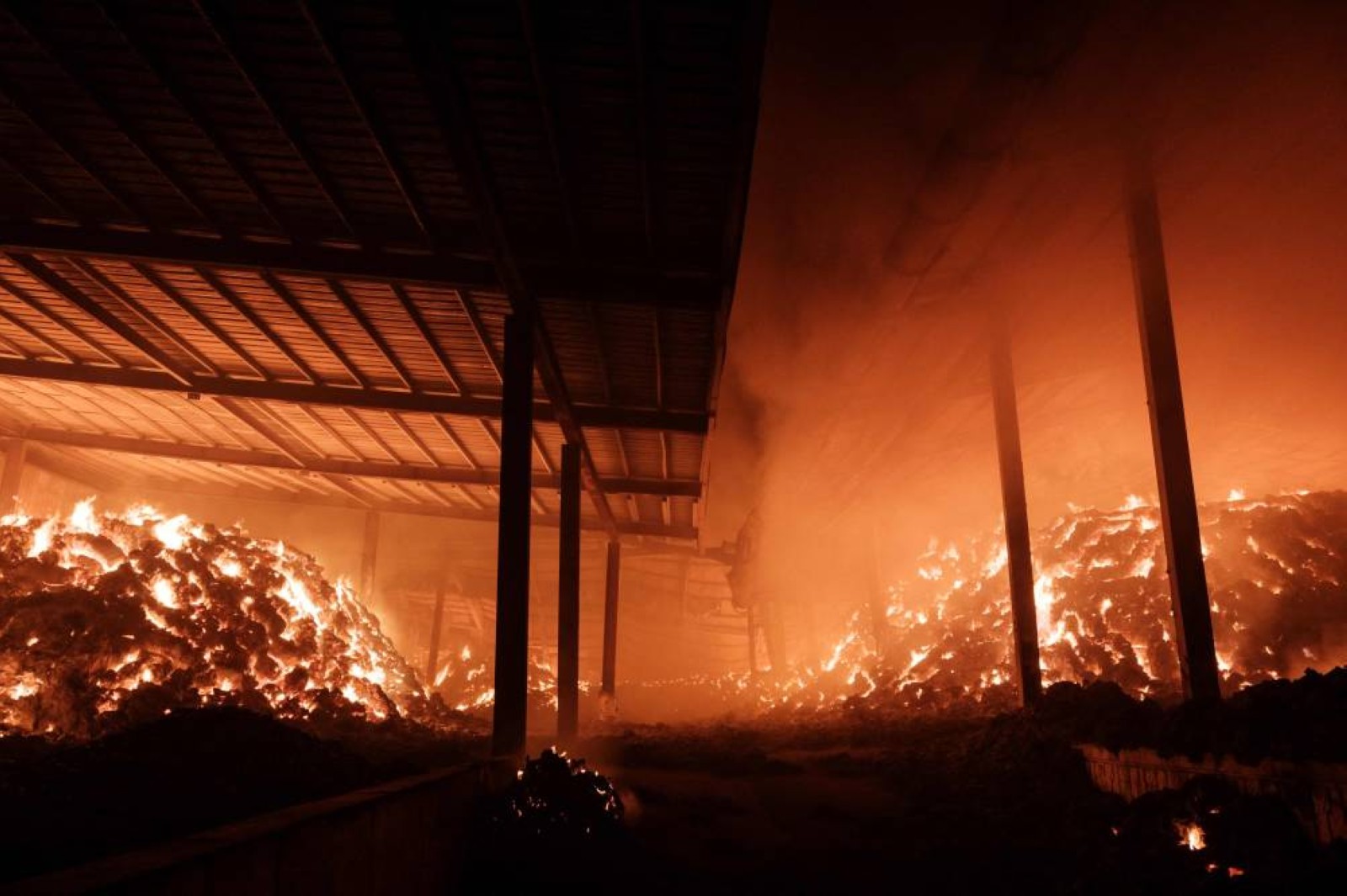 South Korea wildfire death toll climbs to 24