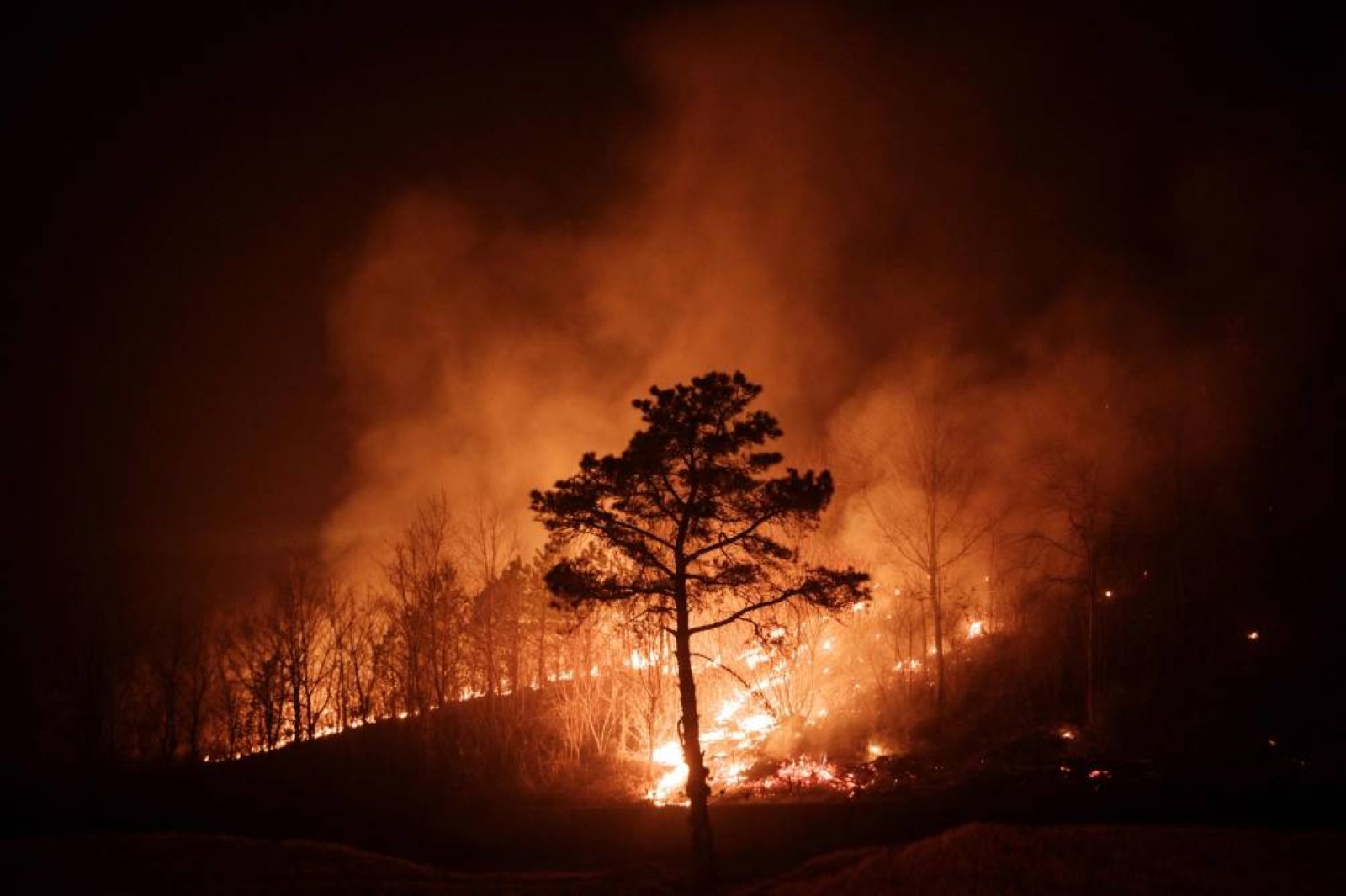 South Korea wildfire death toll climbs to 24