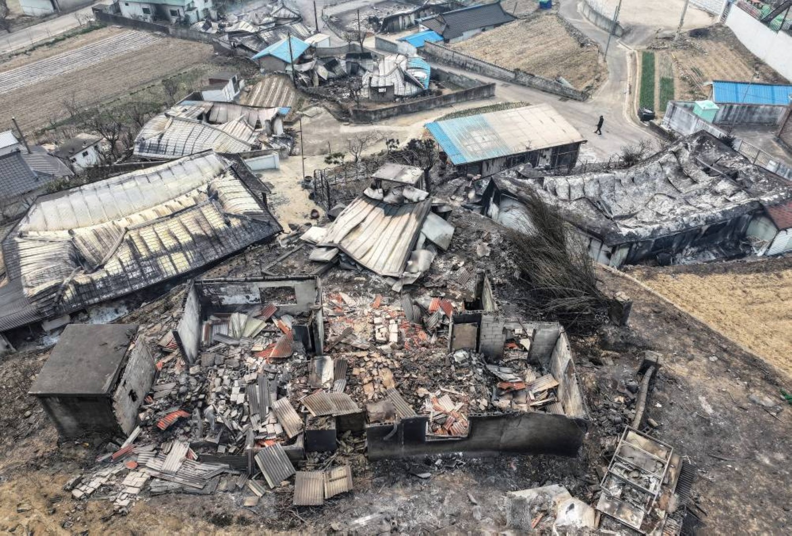 South Korea wildfire death toll climbs to 24