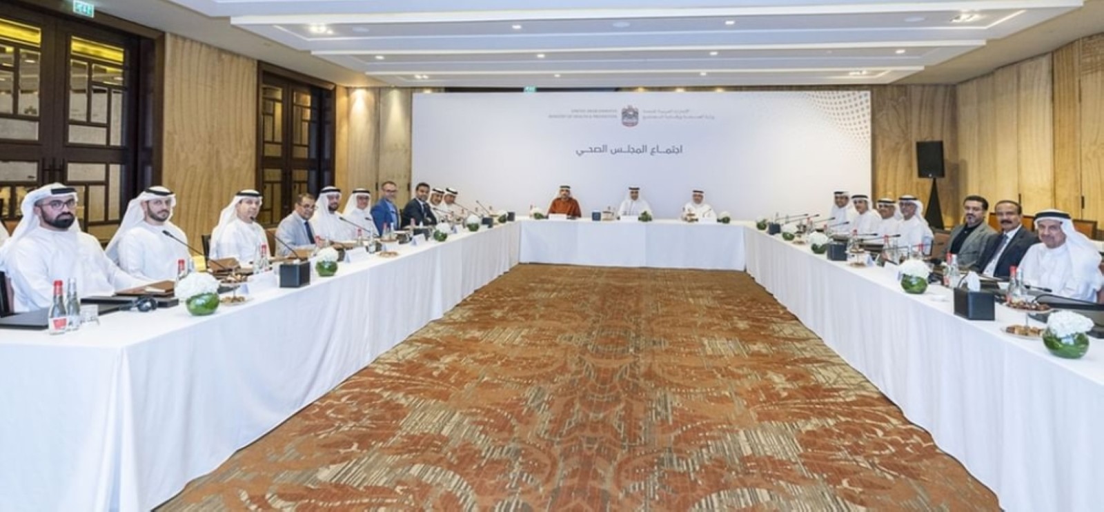 UAE Health Council discusses projects