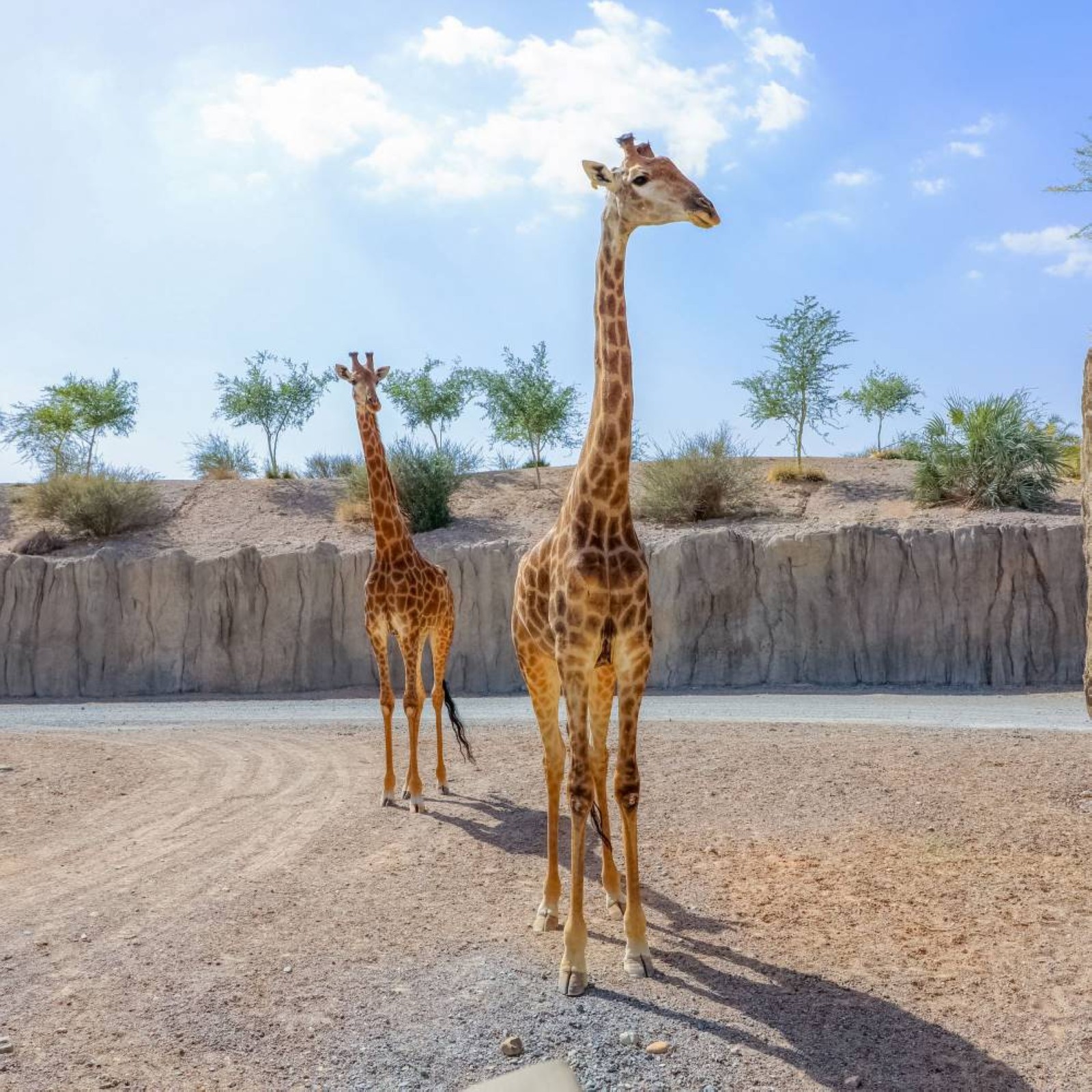 Sharjah, a classic hotspot for unwinding during Eid