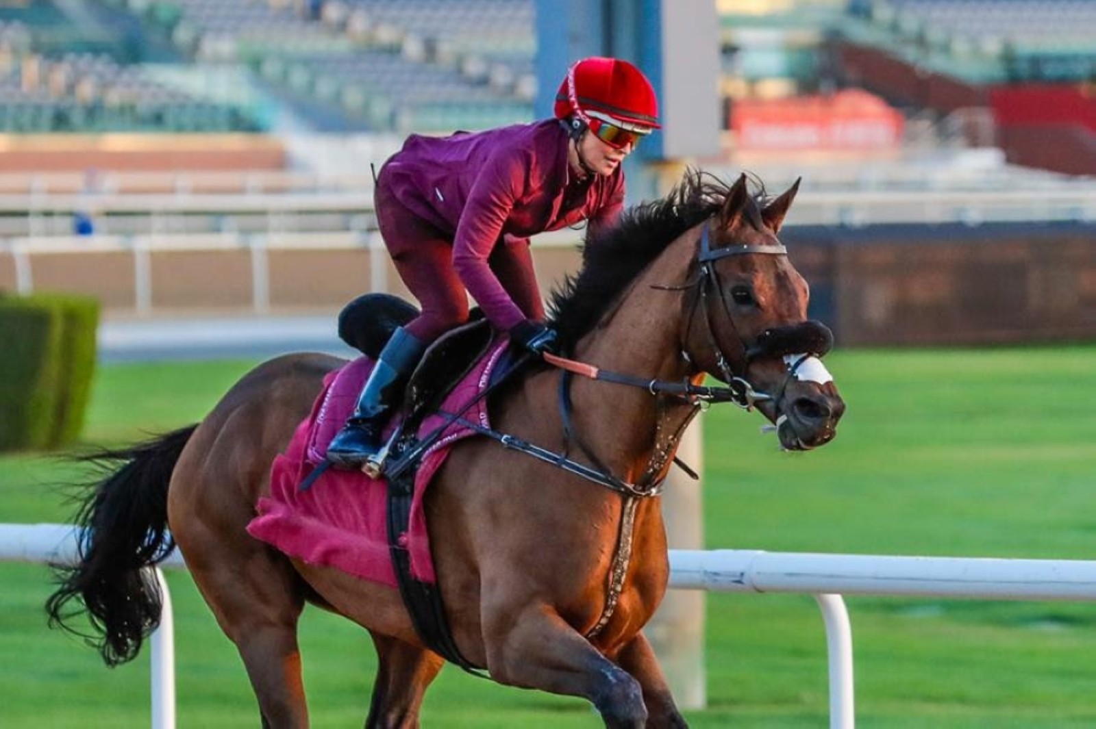 Sutherland looking forward to ‘super’ opportunity in Dubai Golden Shaheen