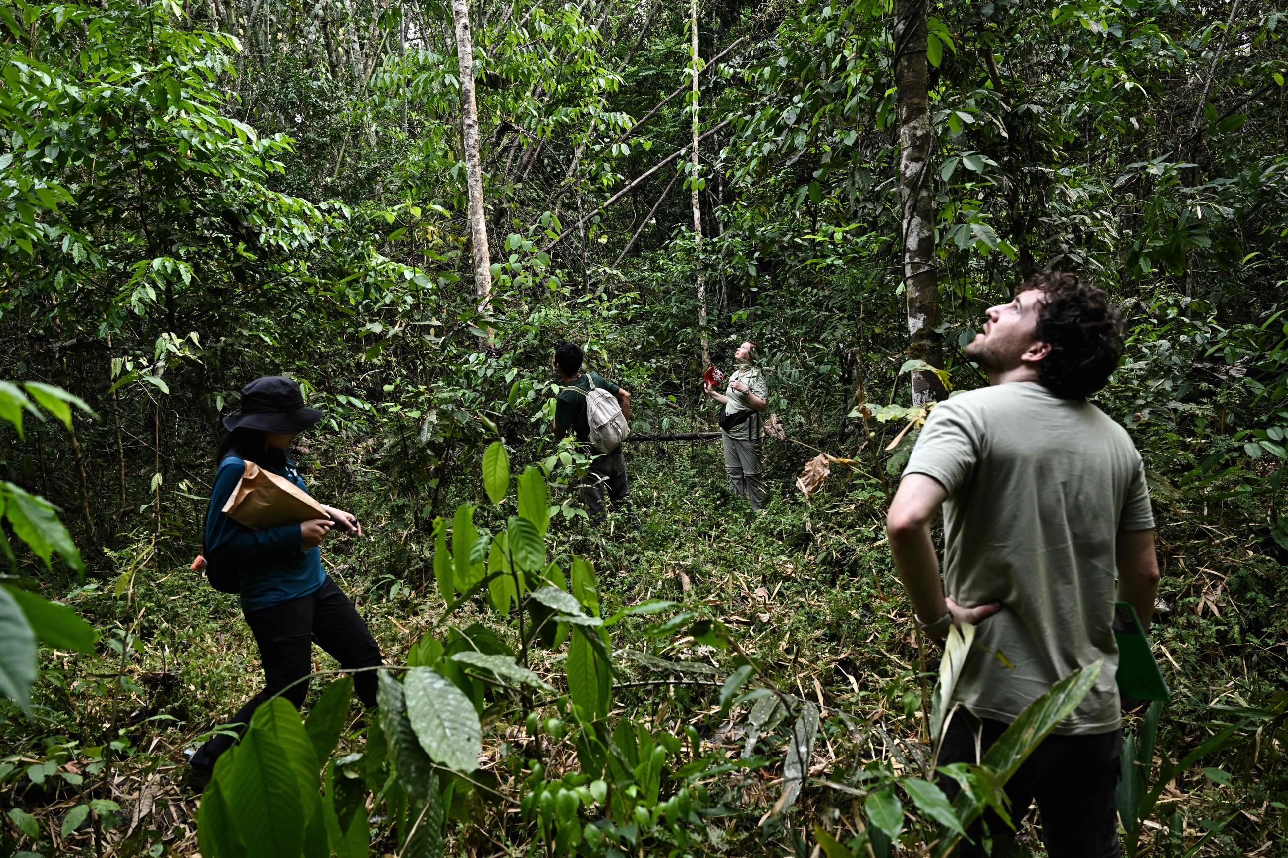 Conservation science in Thailand’s burning forest