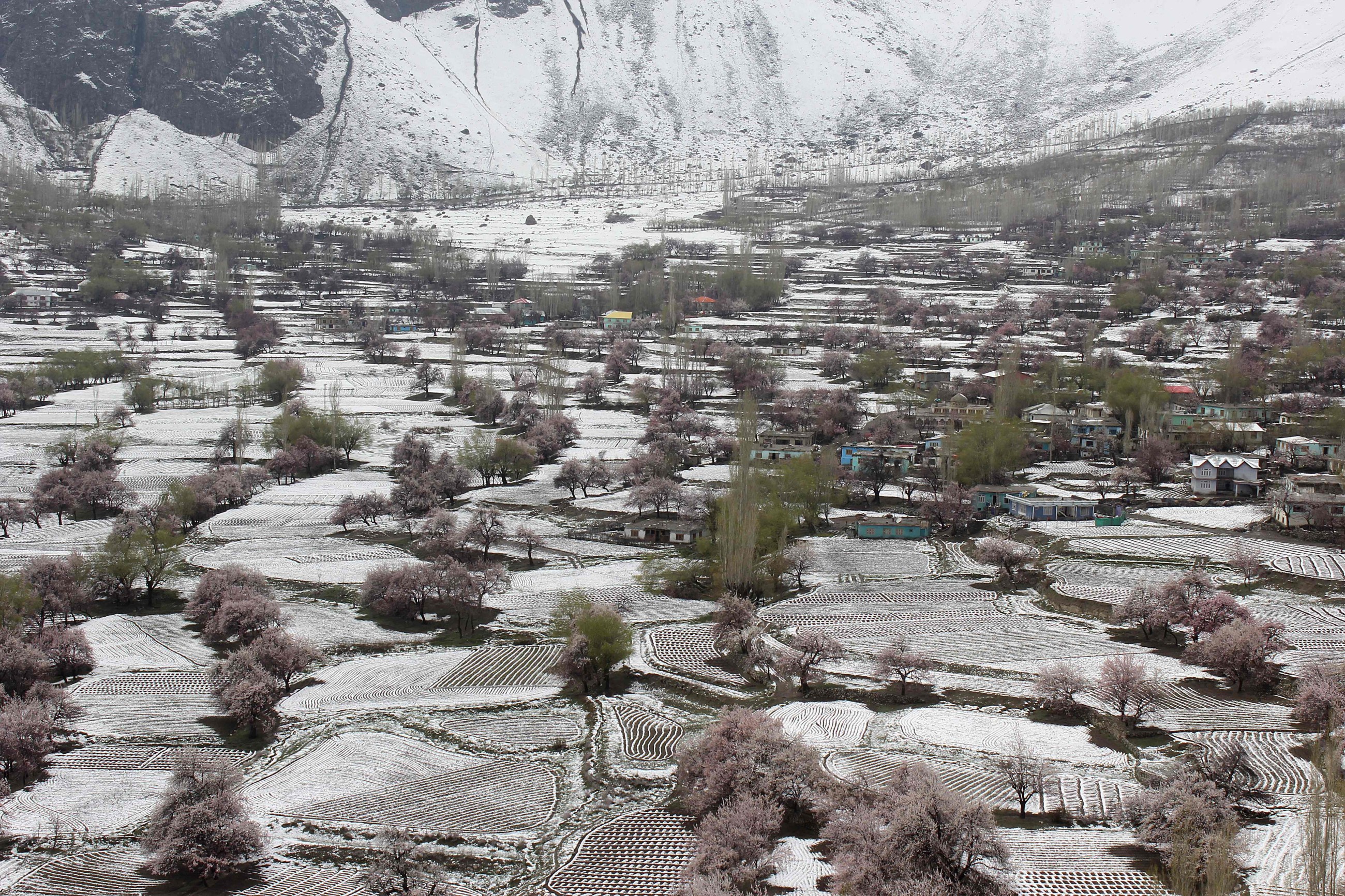 Himalayan snow at 23-year low, posing water risk to 2 billion people: Report