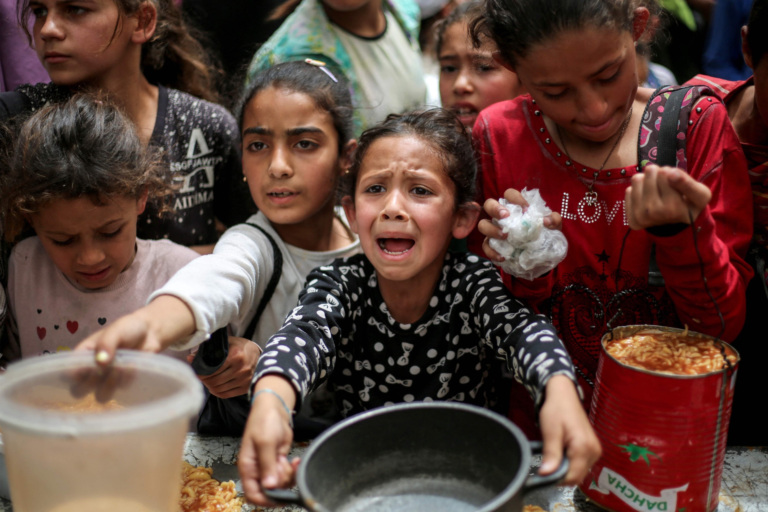 Gaza humanitarian work on 'verge of total collapse:' Red Cross