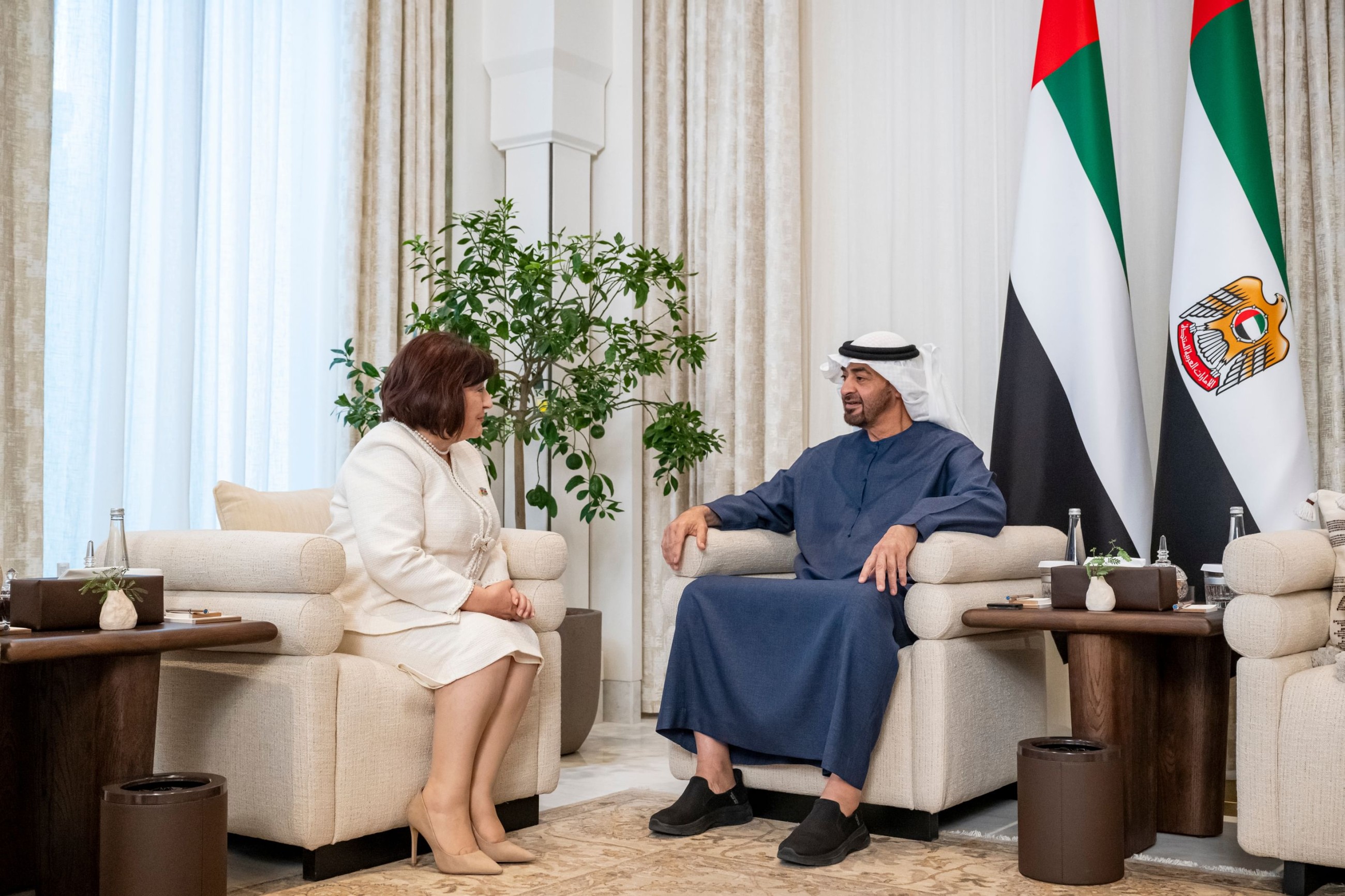 UAE President, Azerbaijan's parliament speaker discuss ways to enhance bilateral relations