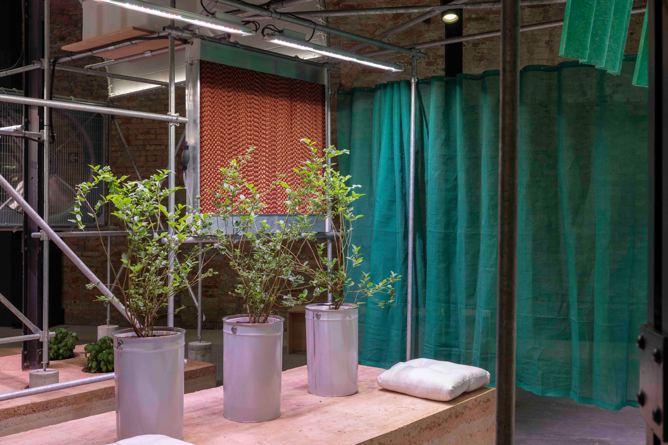 Pressure Cooker serves food security at National Pavilion UAE in Venice