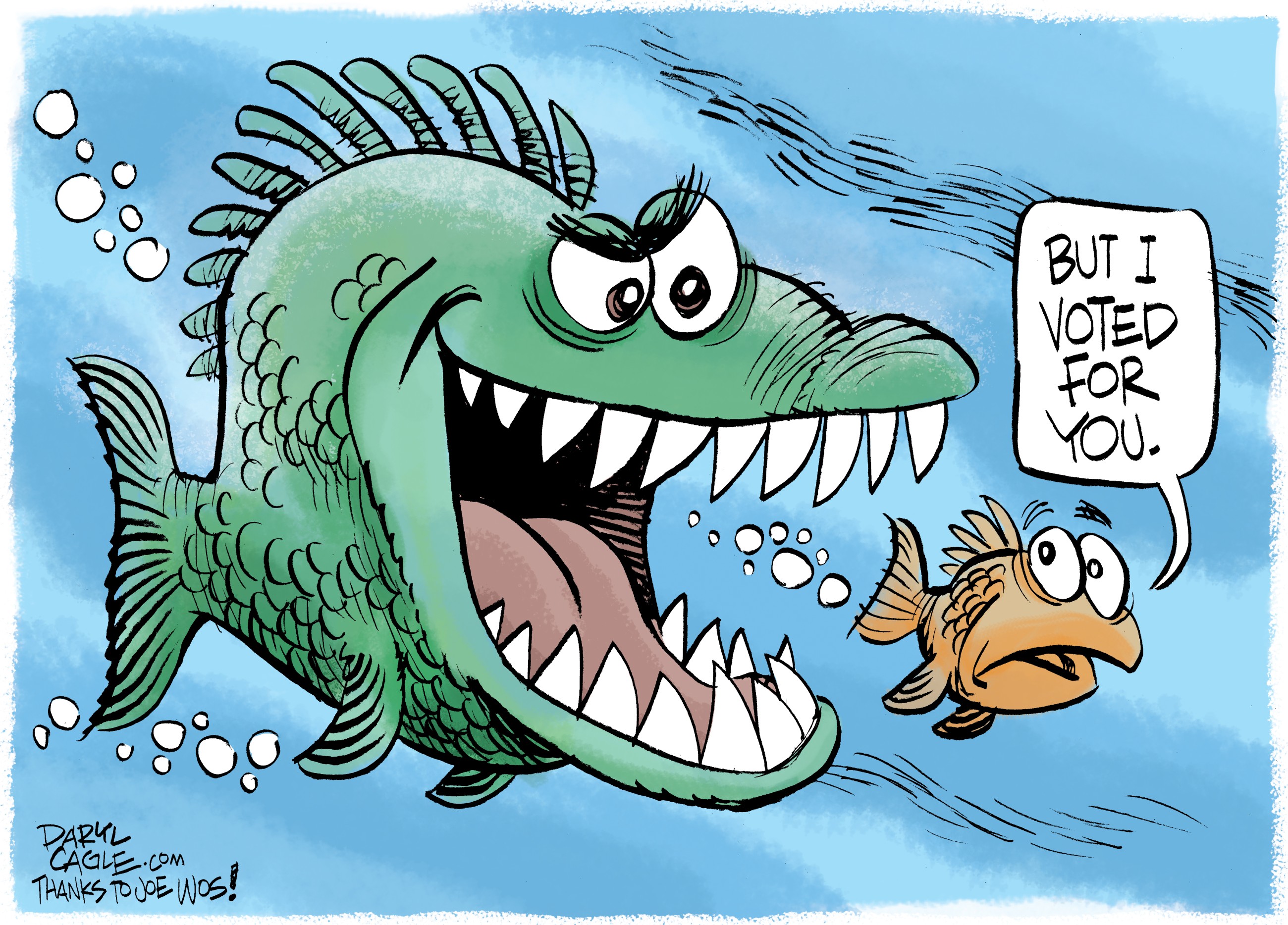 Candidate and the voter
