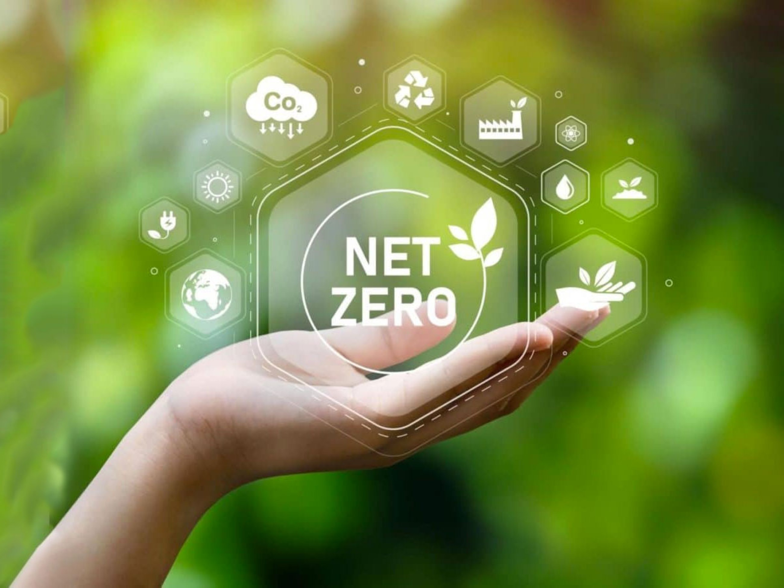 Aiming for net zero carbon by promoting renewables