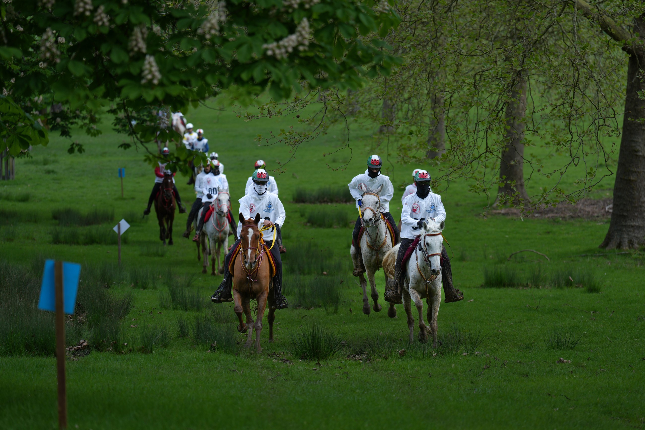UAE contingent look to reclaim Royal Windsor Endurance honours