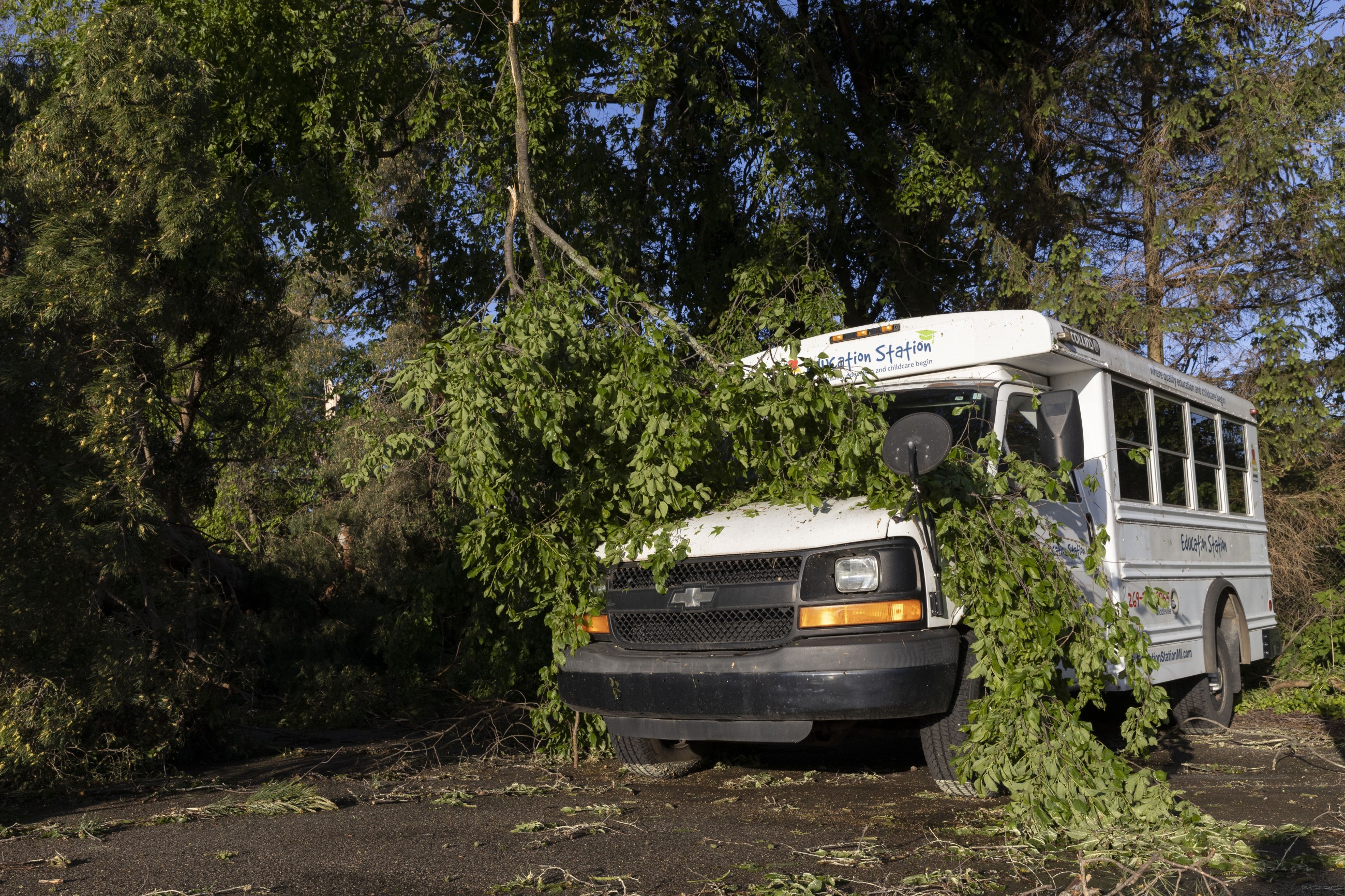 Tornadoes kill more than 20 in two southern US states