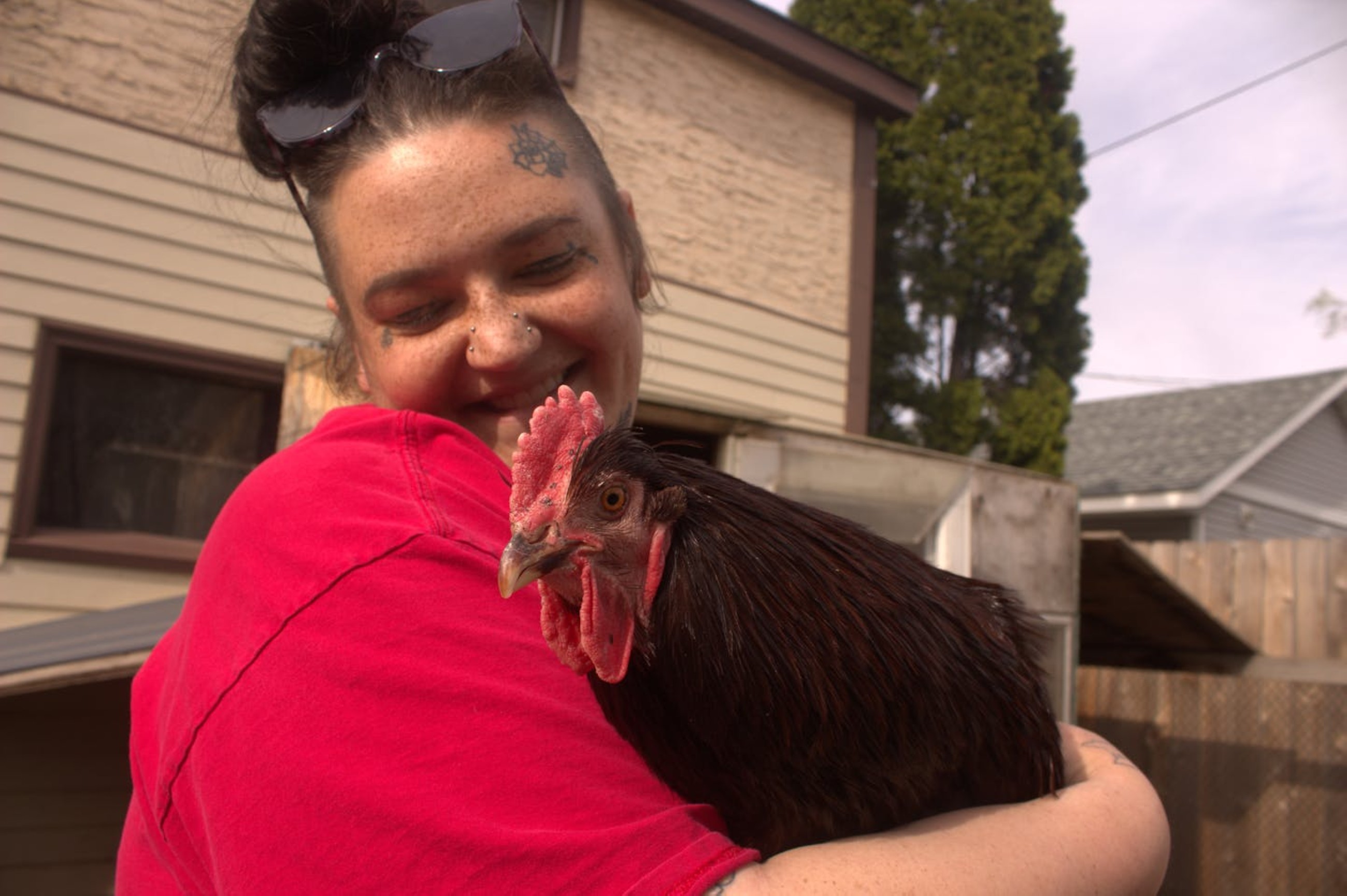‘Chicken lady’ faces legal trouble as birds come flocking in