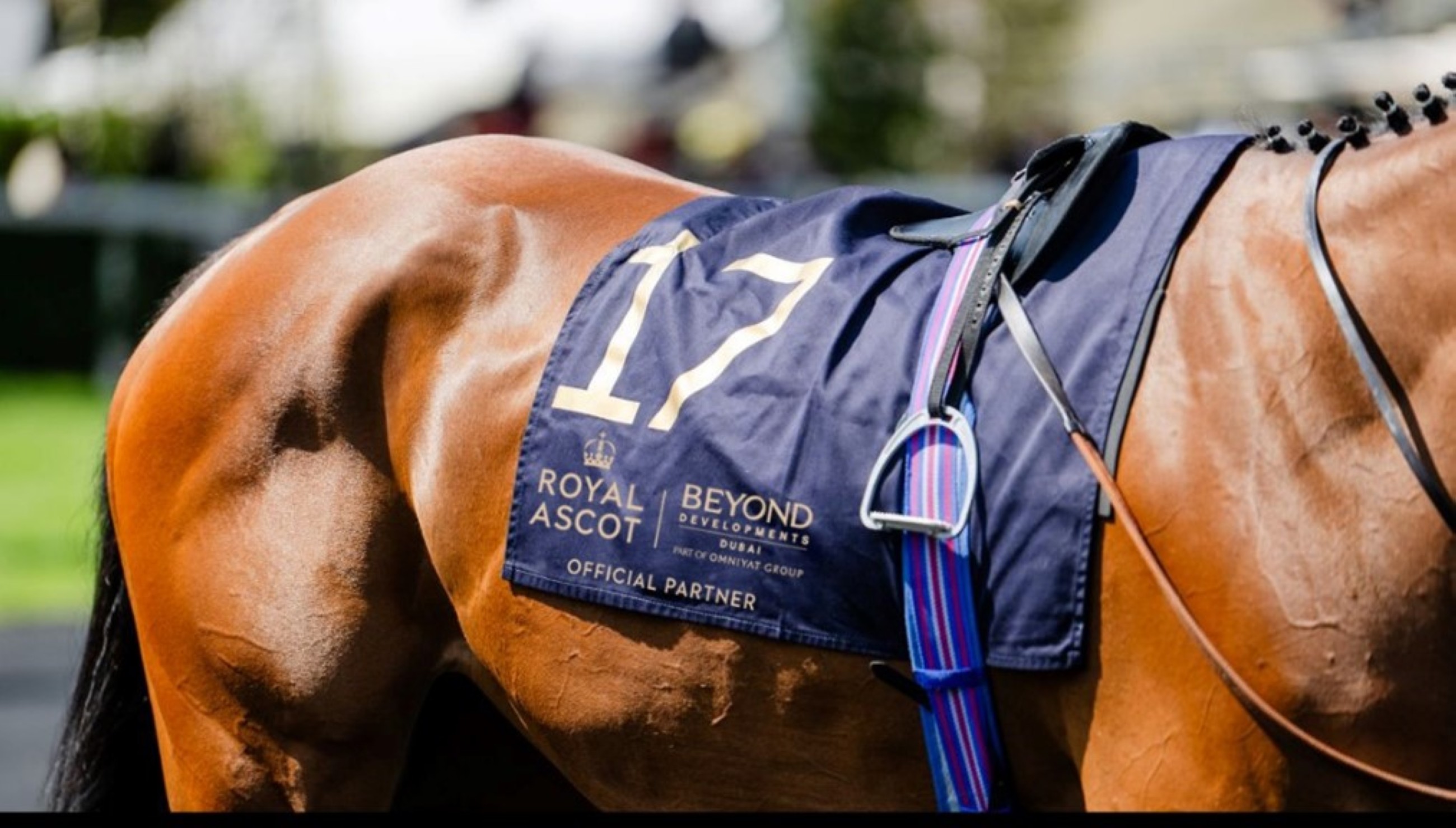 <b>BEYOND Developments named official real estate partner of Ascot and Royal Ascot</b>