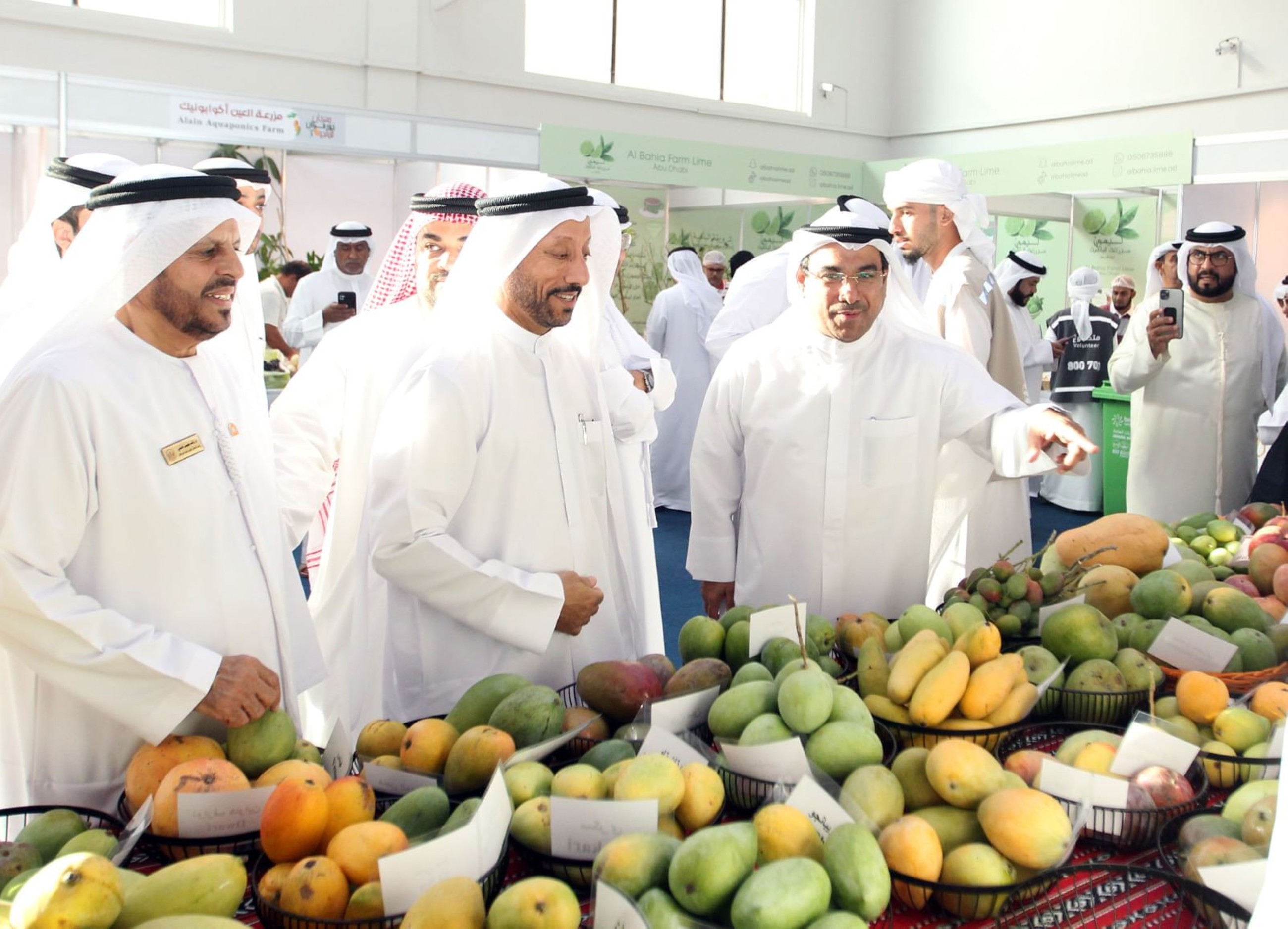 Sharjah to host Mango Festival in Khor Fakkan on June 27