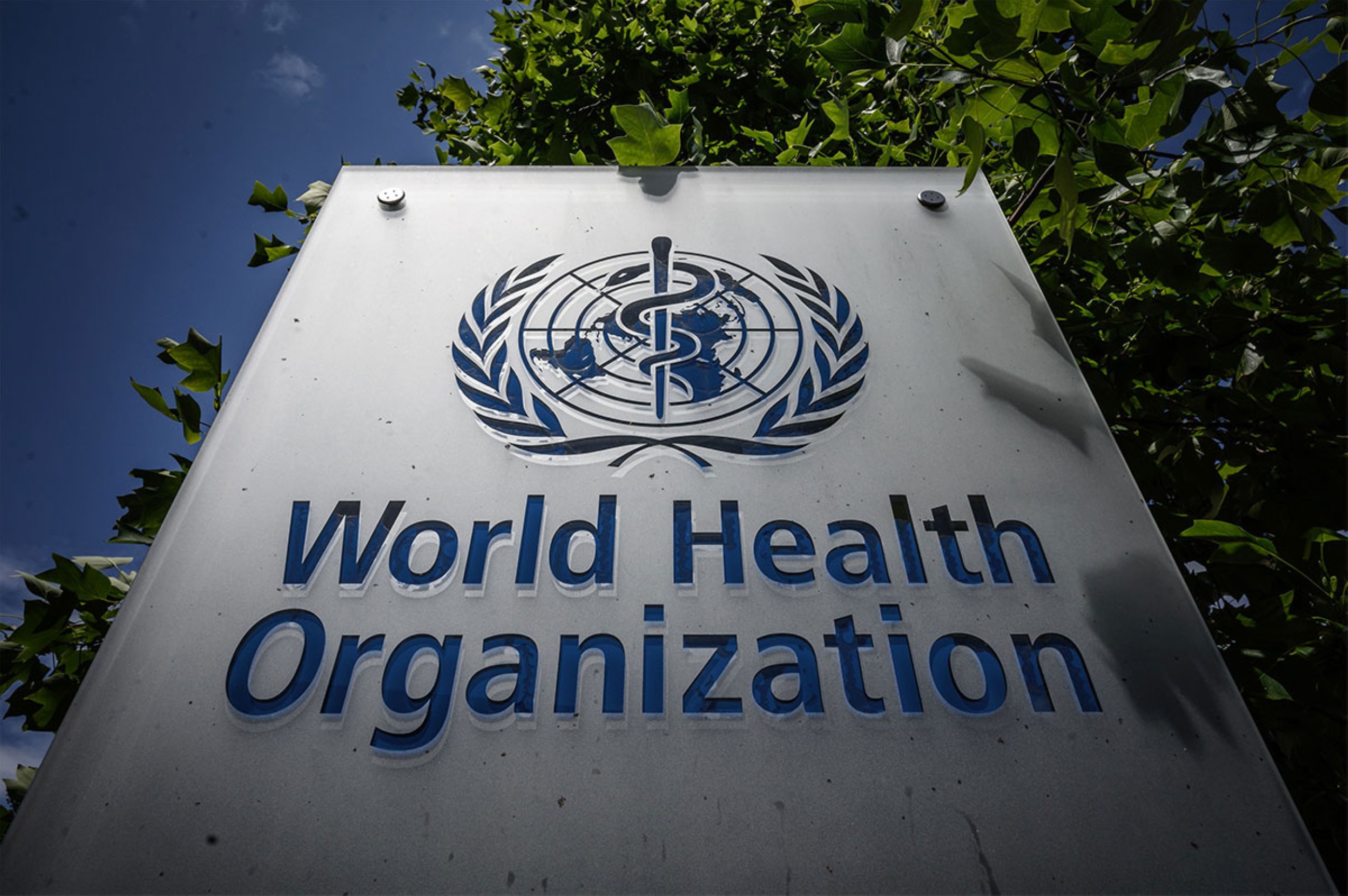 Palestinians to raise flag at WHO for the first time after vote