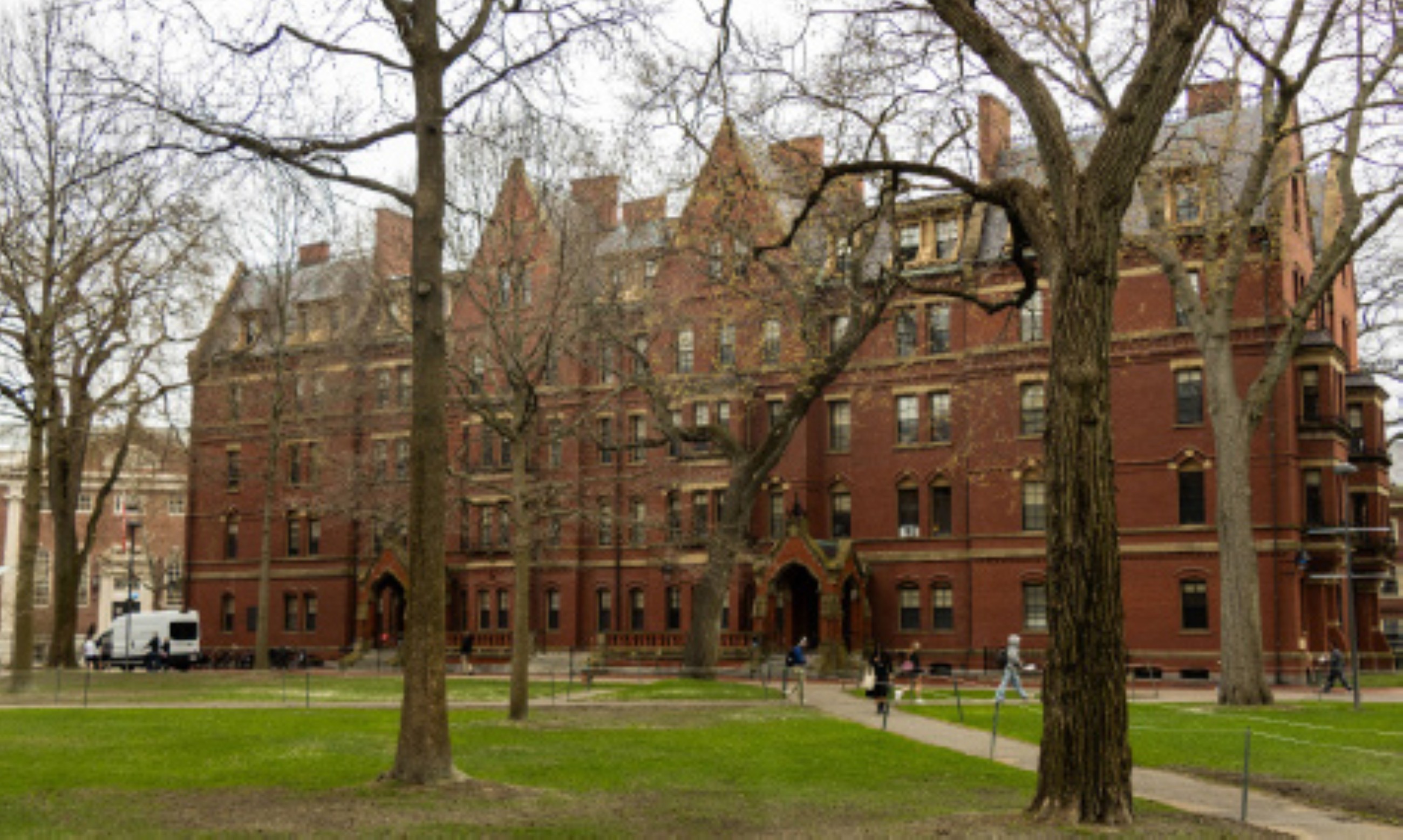 Ivy fight