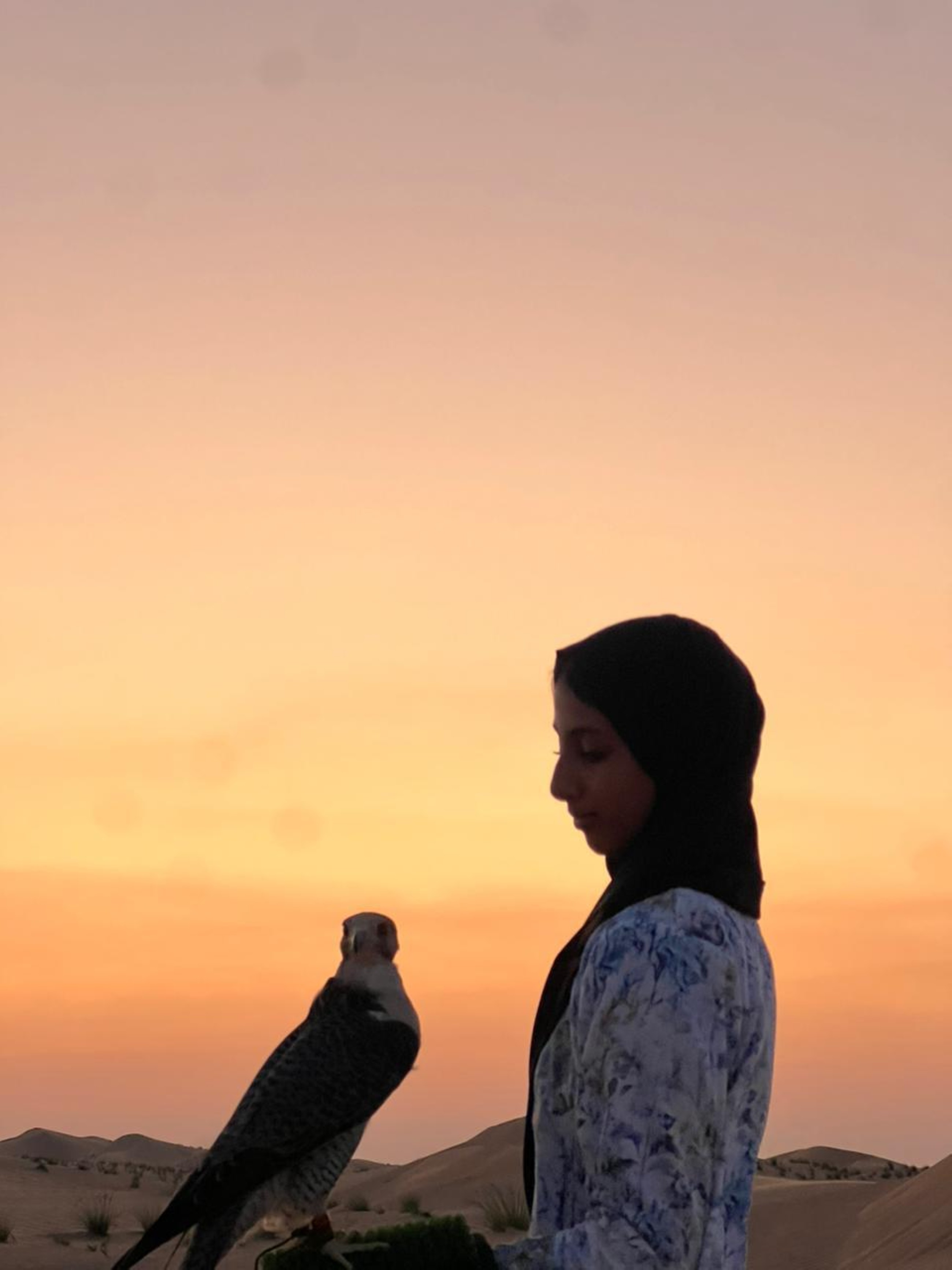 My grandfather and mother instilled in me love of falcons since I was very young: Osha Al Mansoori