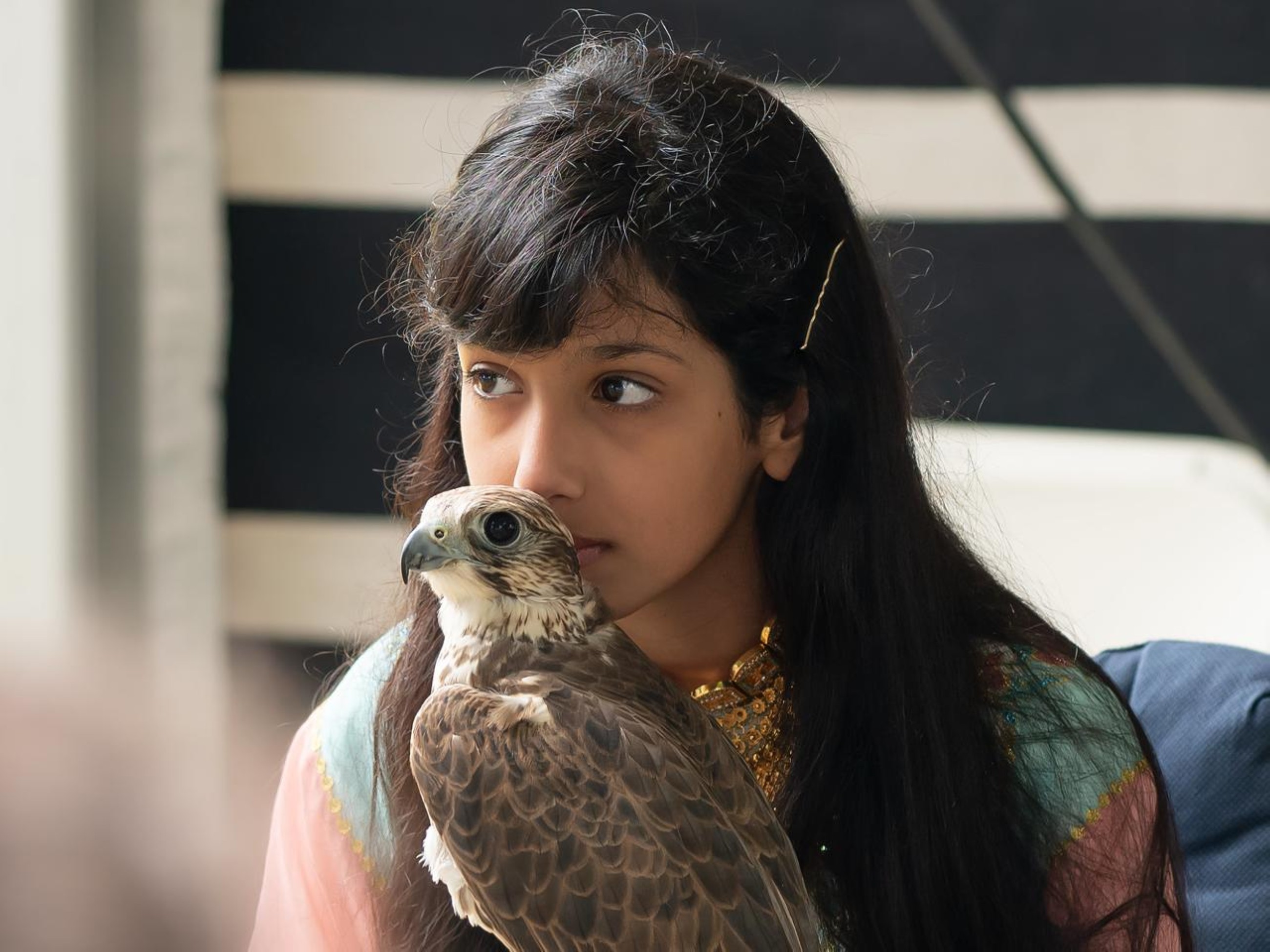 My grandfather and mother instilled in me love of falcons since I was very young: Osha Al Mansoori