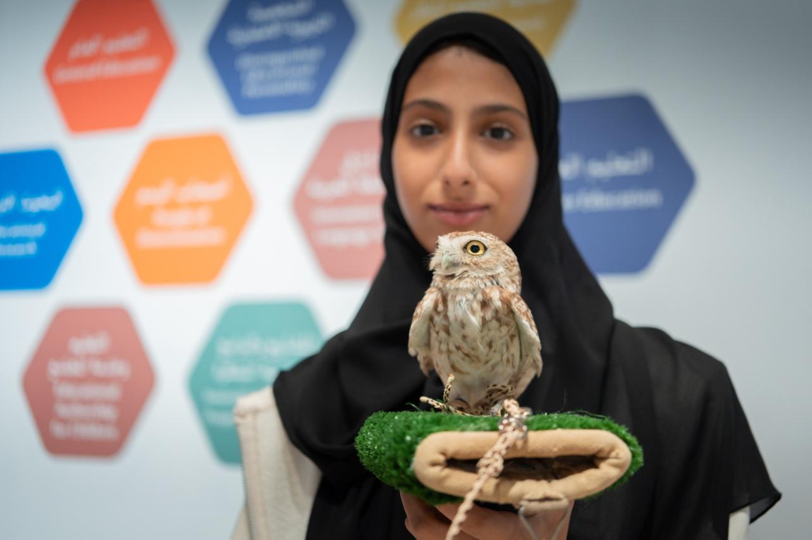 My grandfather and mother instilled in me love of falcons since I was very young: Osha Al Mansoori