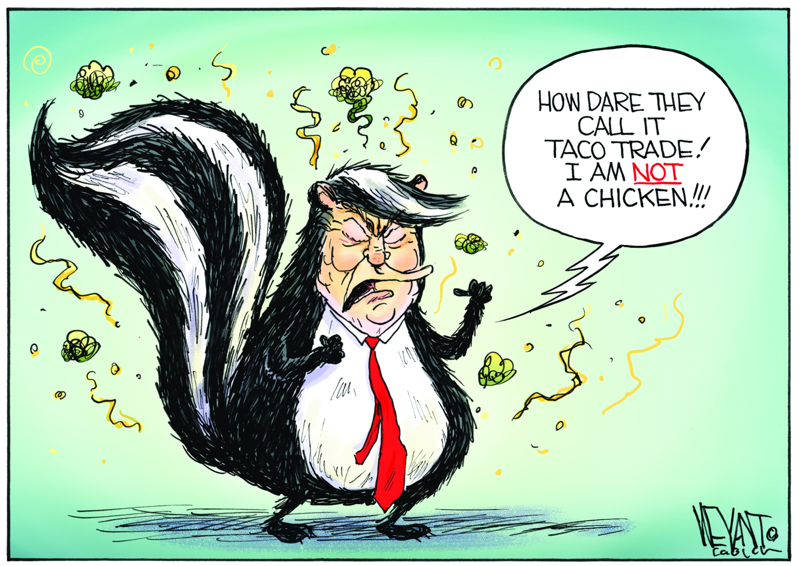 I am not a chicken!
