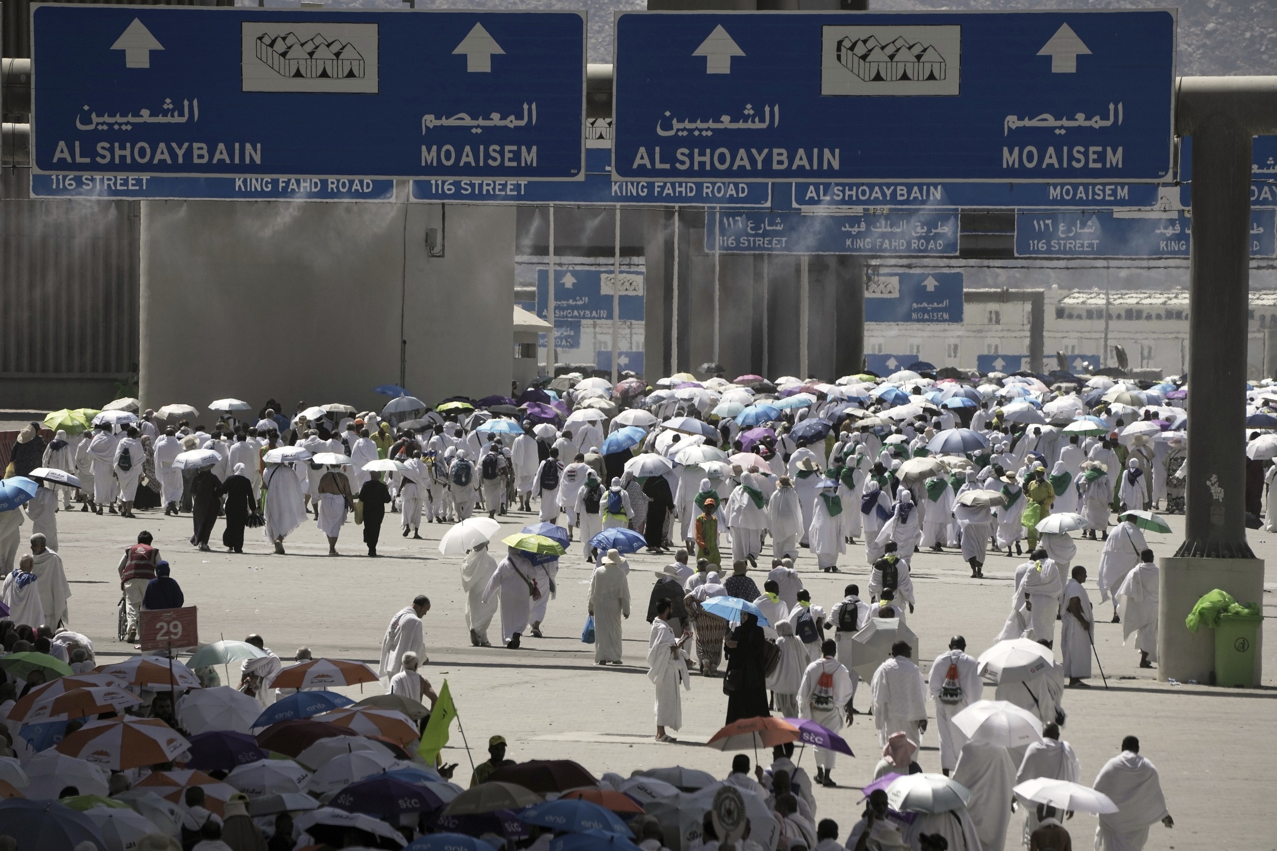 Hajj attendance falls to 30-year-low, excluding COVID-19 period