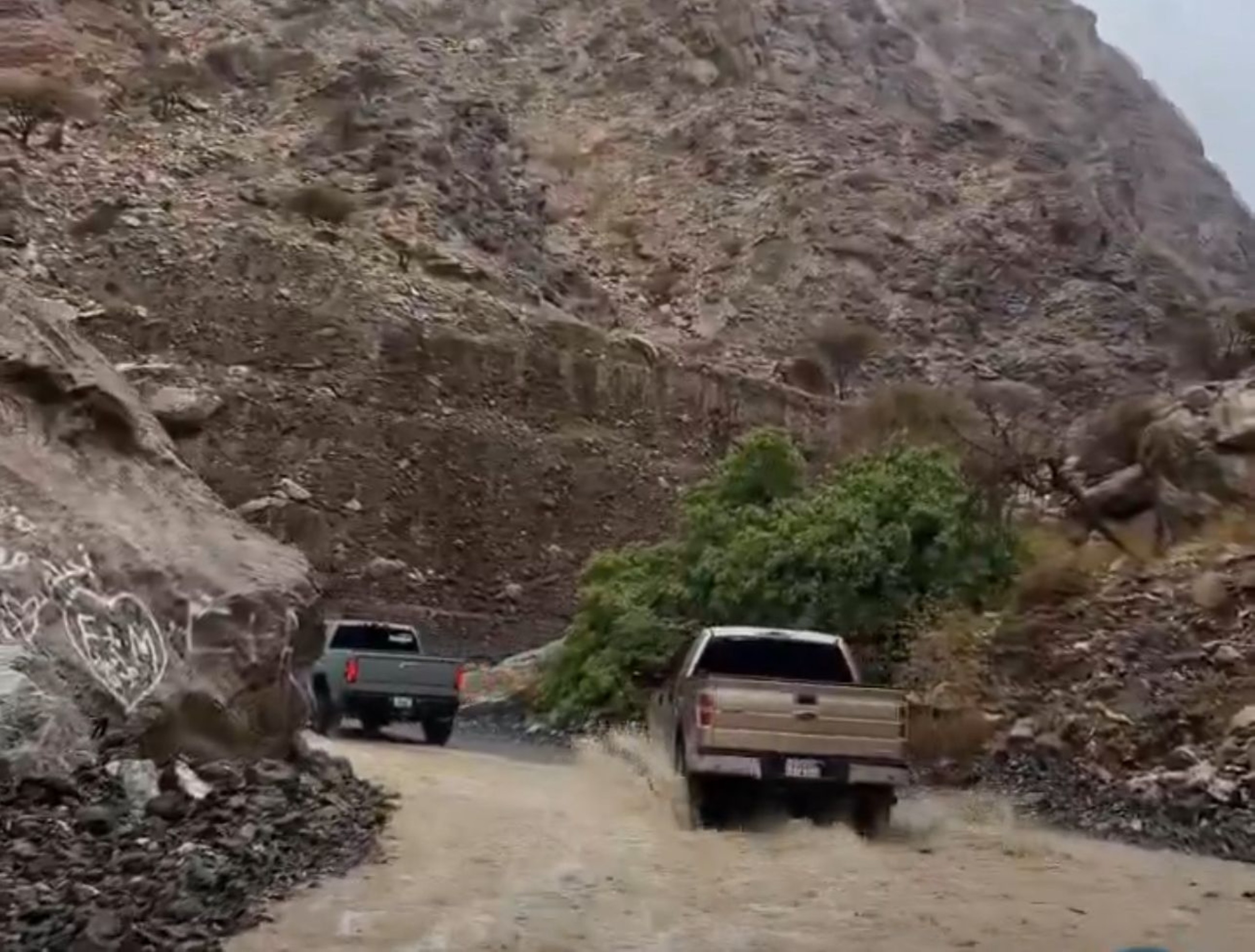 UAE likely to receive more rain today: NCM