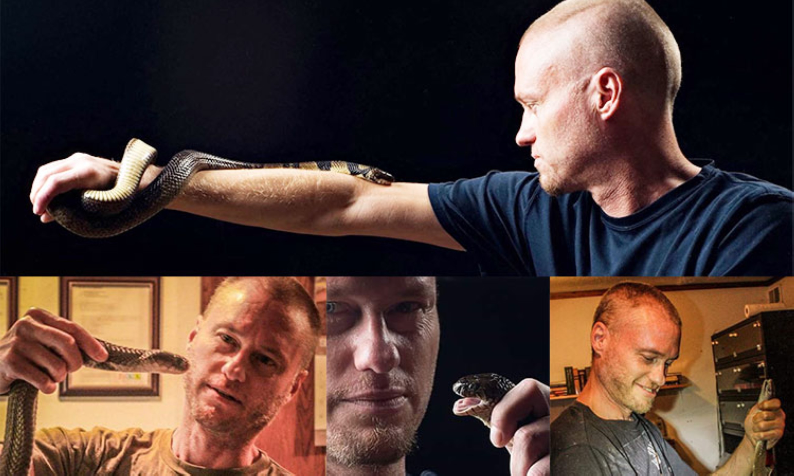 Man's extreme snake bite trials boost new antivenom research hope