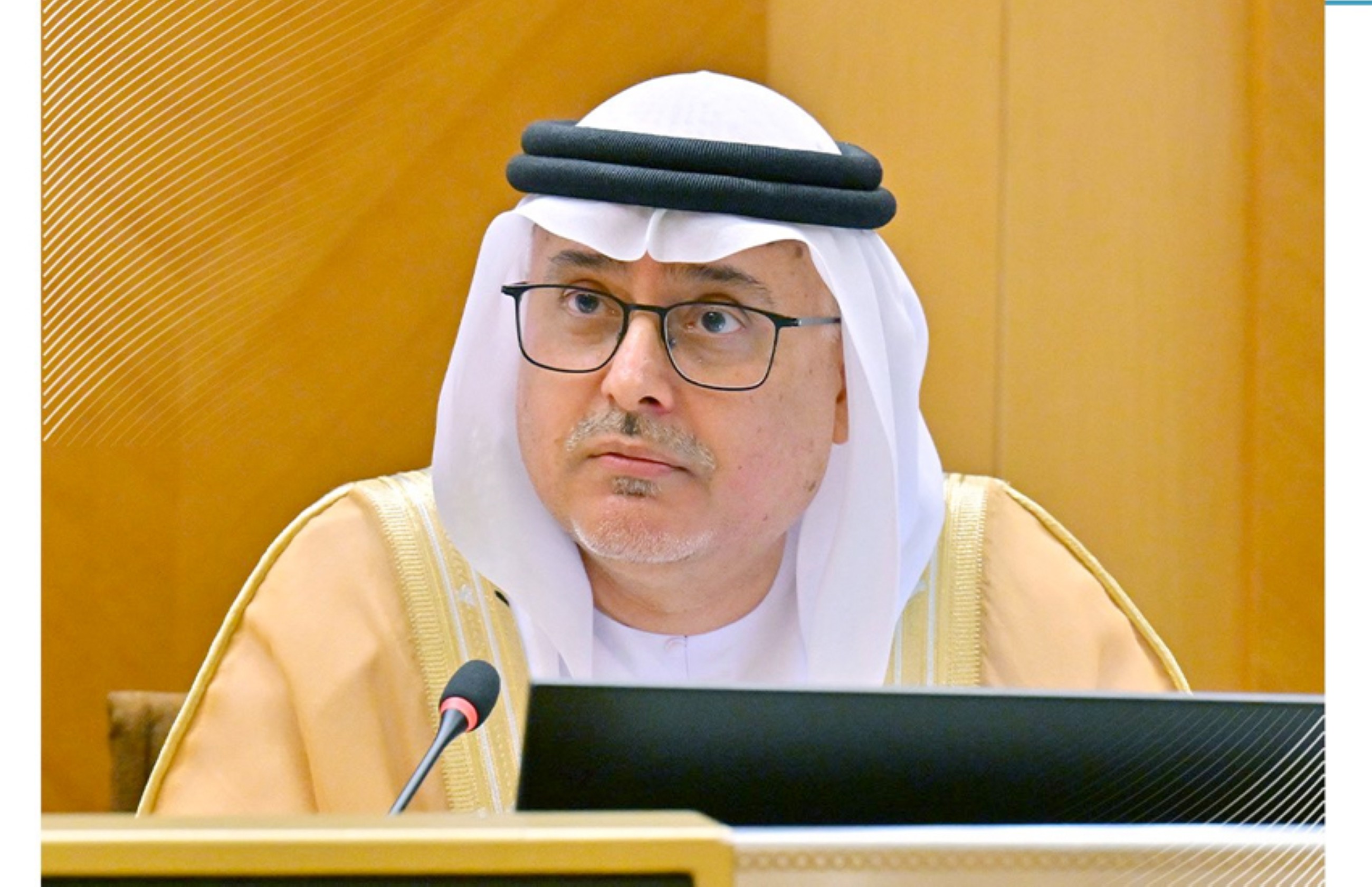 UAE moves to protect Emirati students abroad as 46% enrolled in commercial universities, says minister