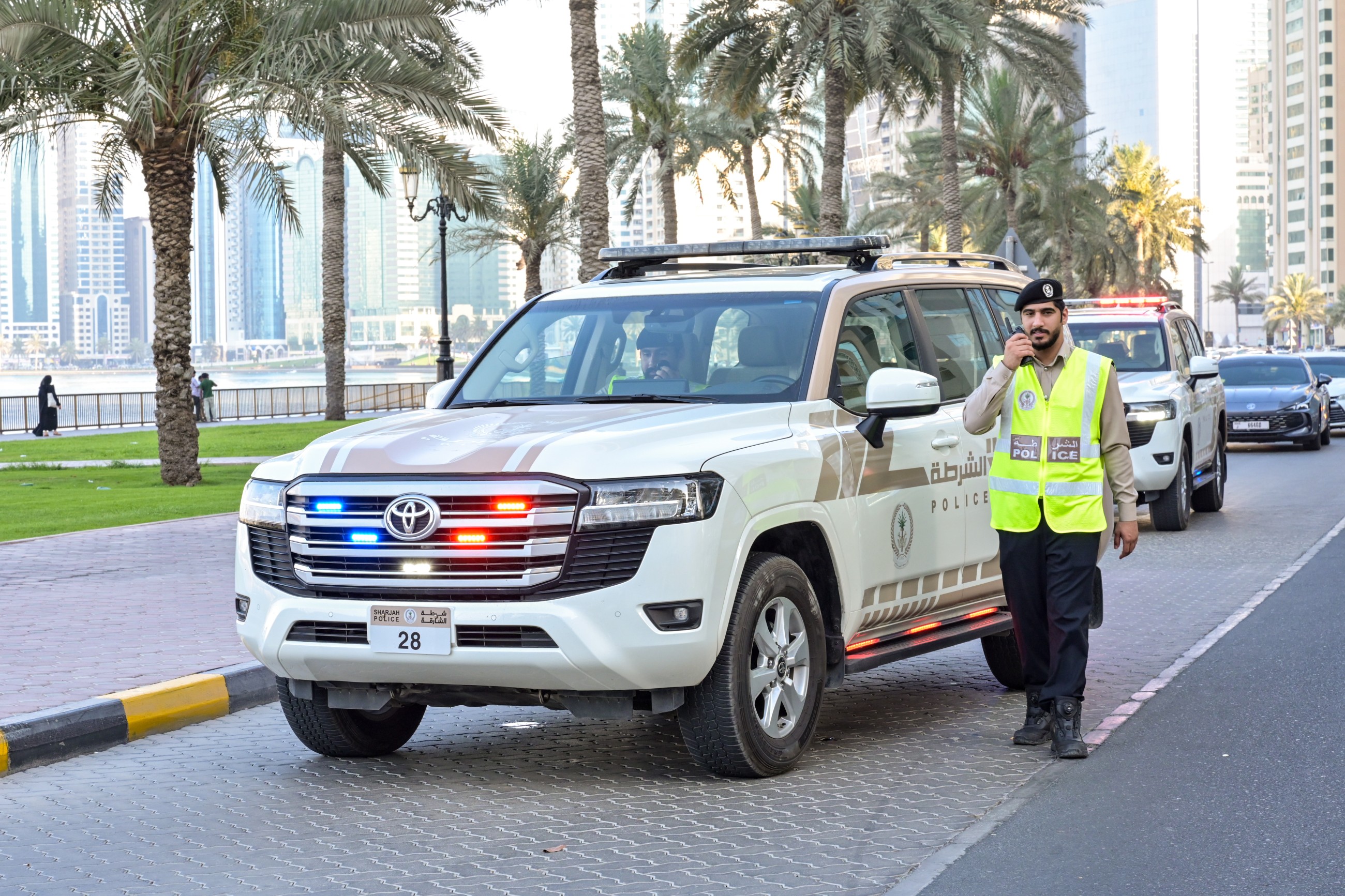 Traffic accident deaths in Sharjah dropped by 24 per cent in 2024