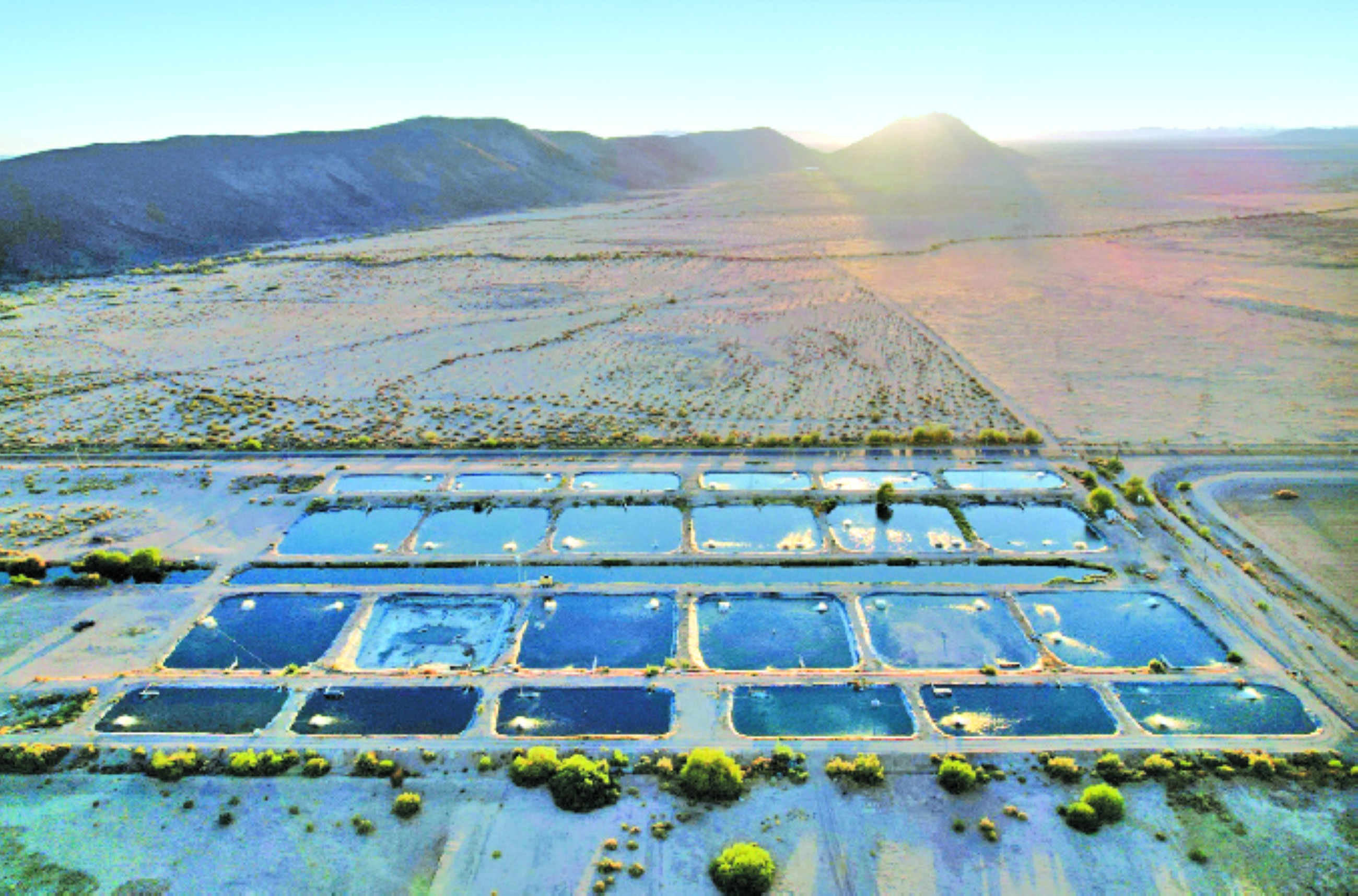Farm raising fish raises questions about water use