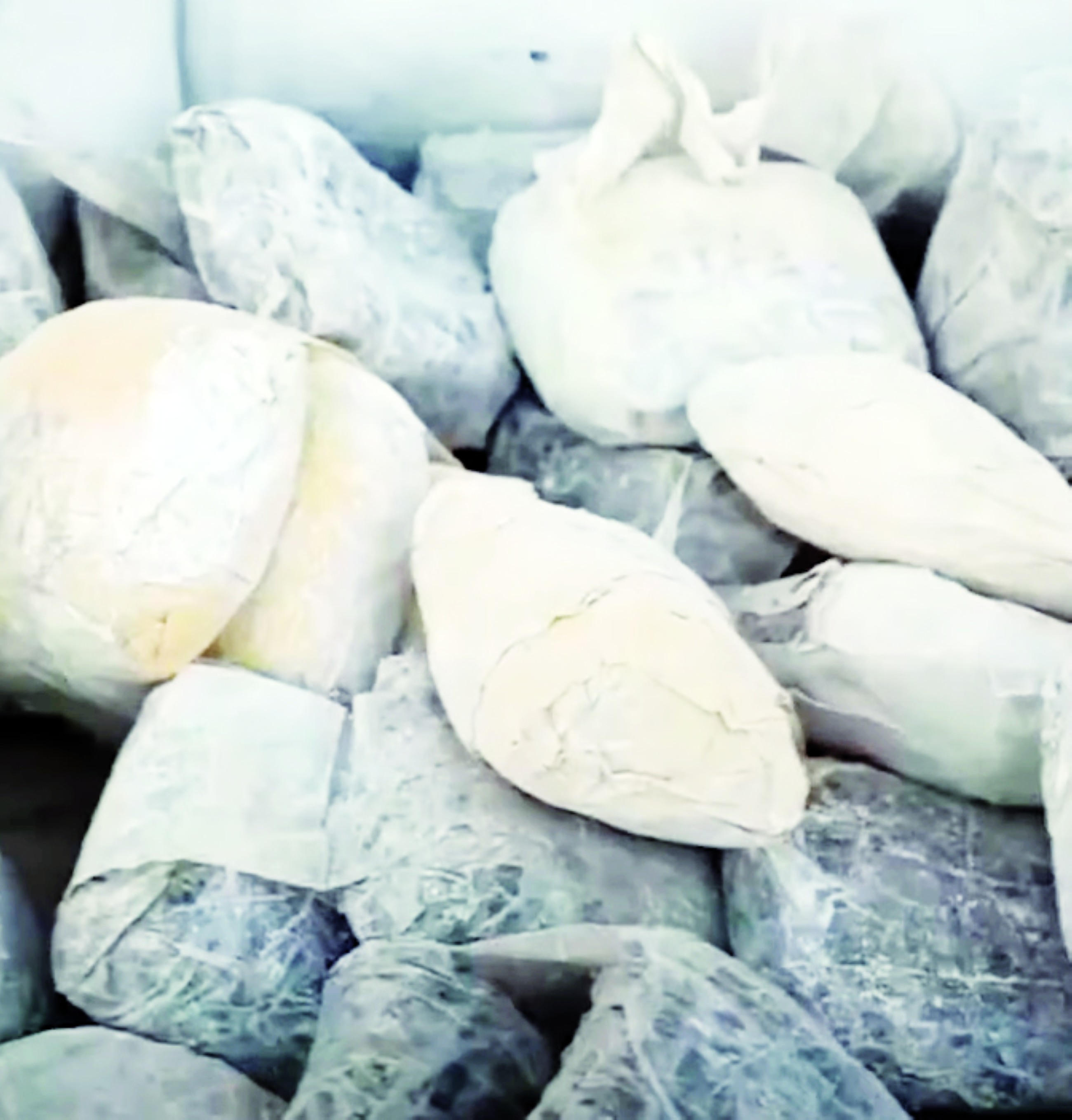 VIDEO: Sharjah Police seize 3.5m Captagon pills worth Dhs19 million