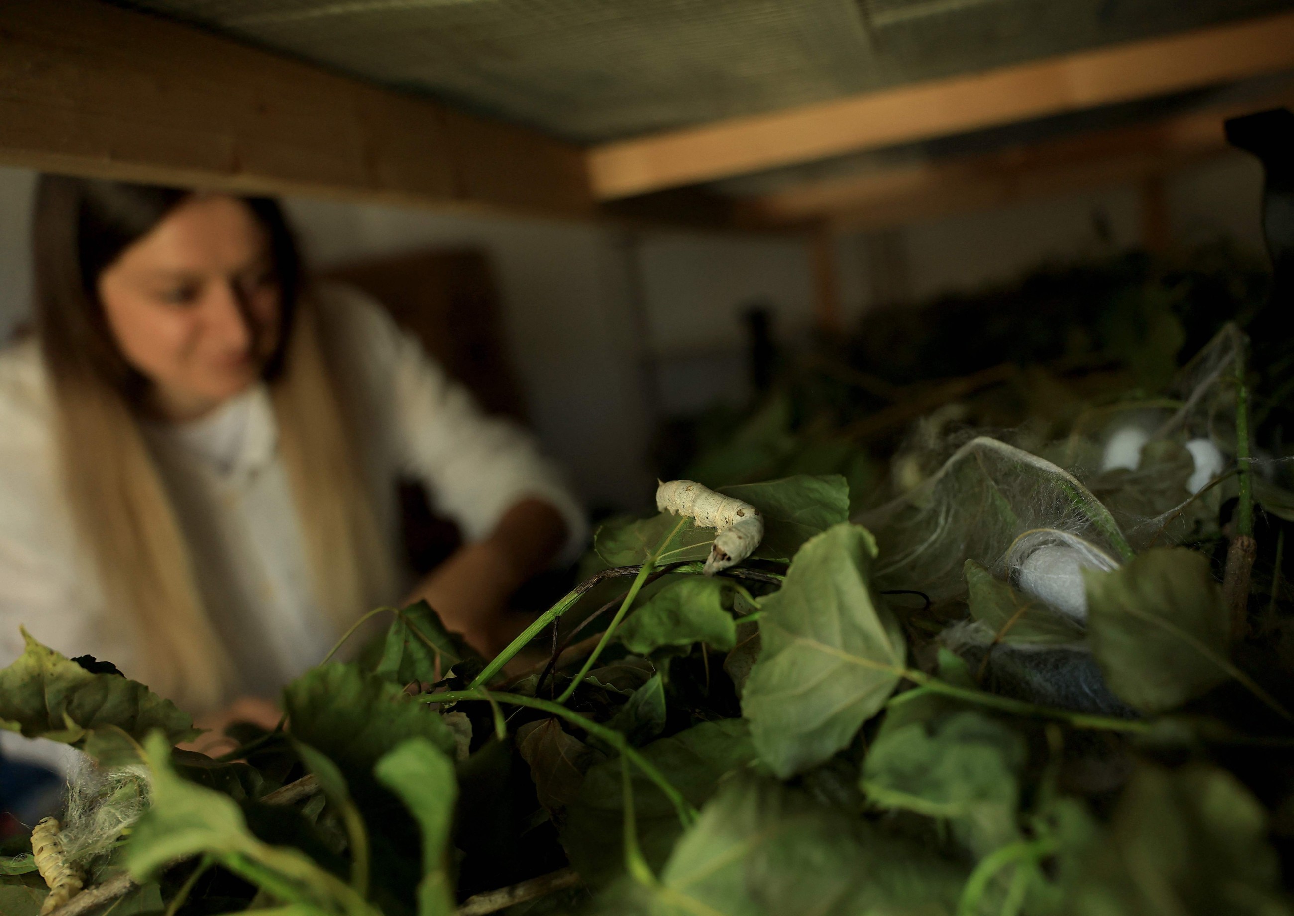 Albania's women silk makers weave big dreams for ancient trade