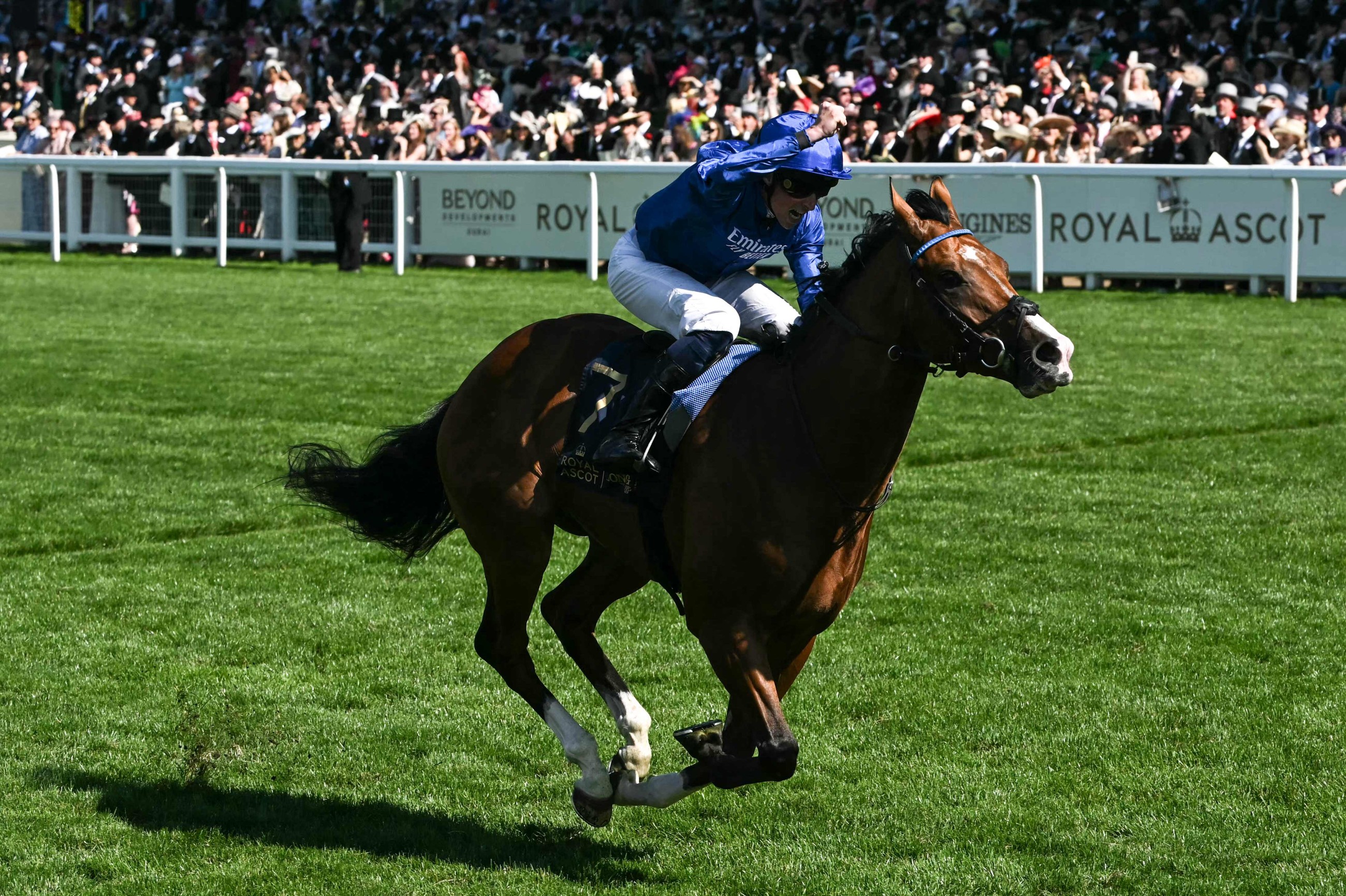 Gosdens celebrate Ascot double as Buick motors home on Ombudsman